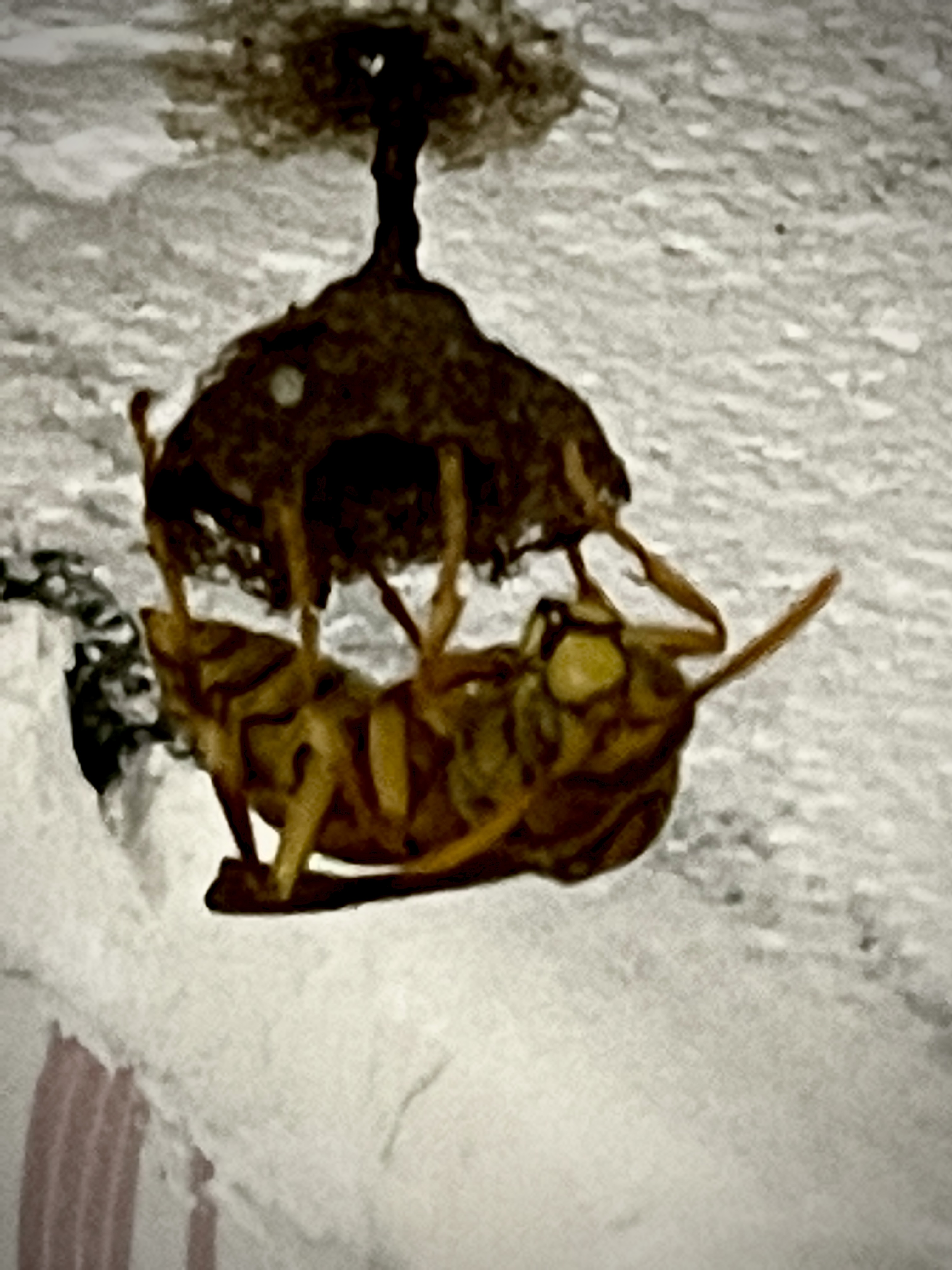 49A09C26-14D9-4490-9A4D-27A28888F63A.jpeg