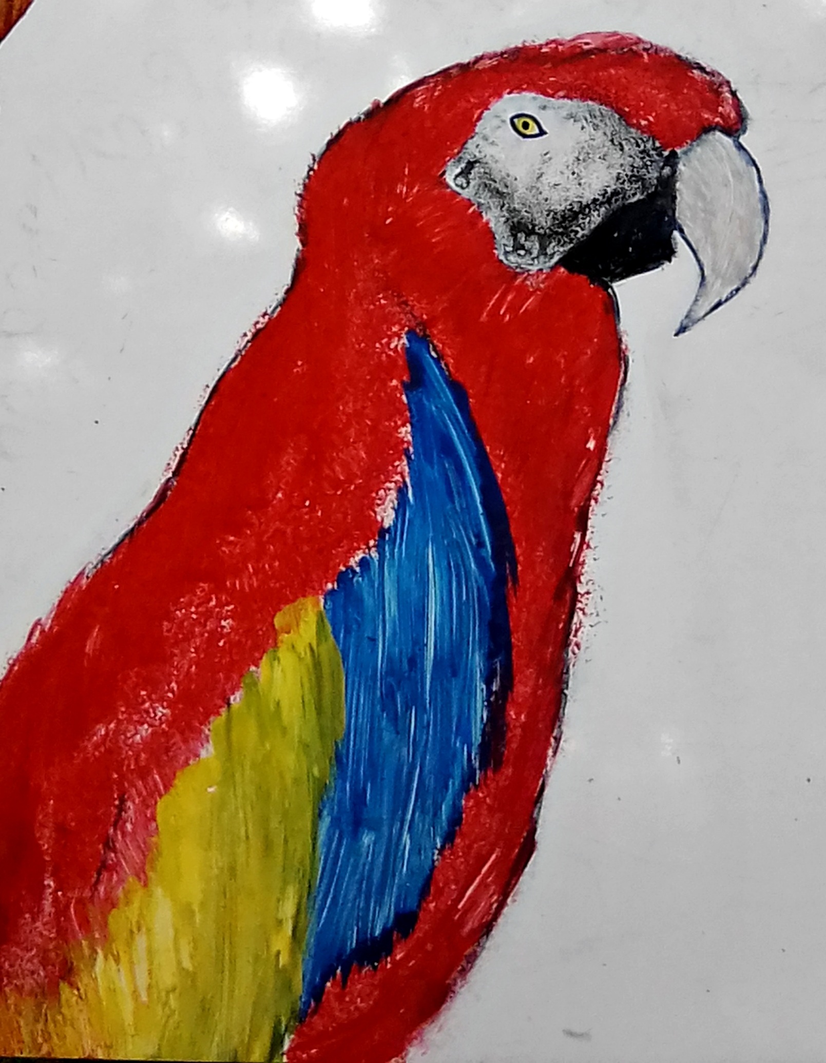 Hermosa guacamaya Pintada Sobre madera. By: @marlynale//Beautiful ...