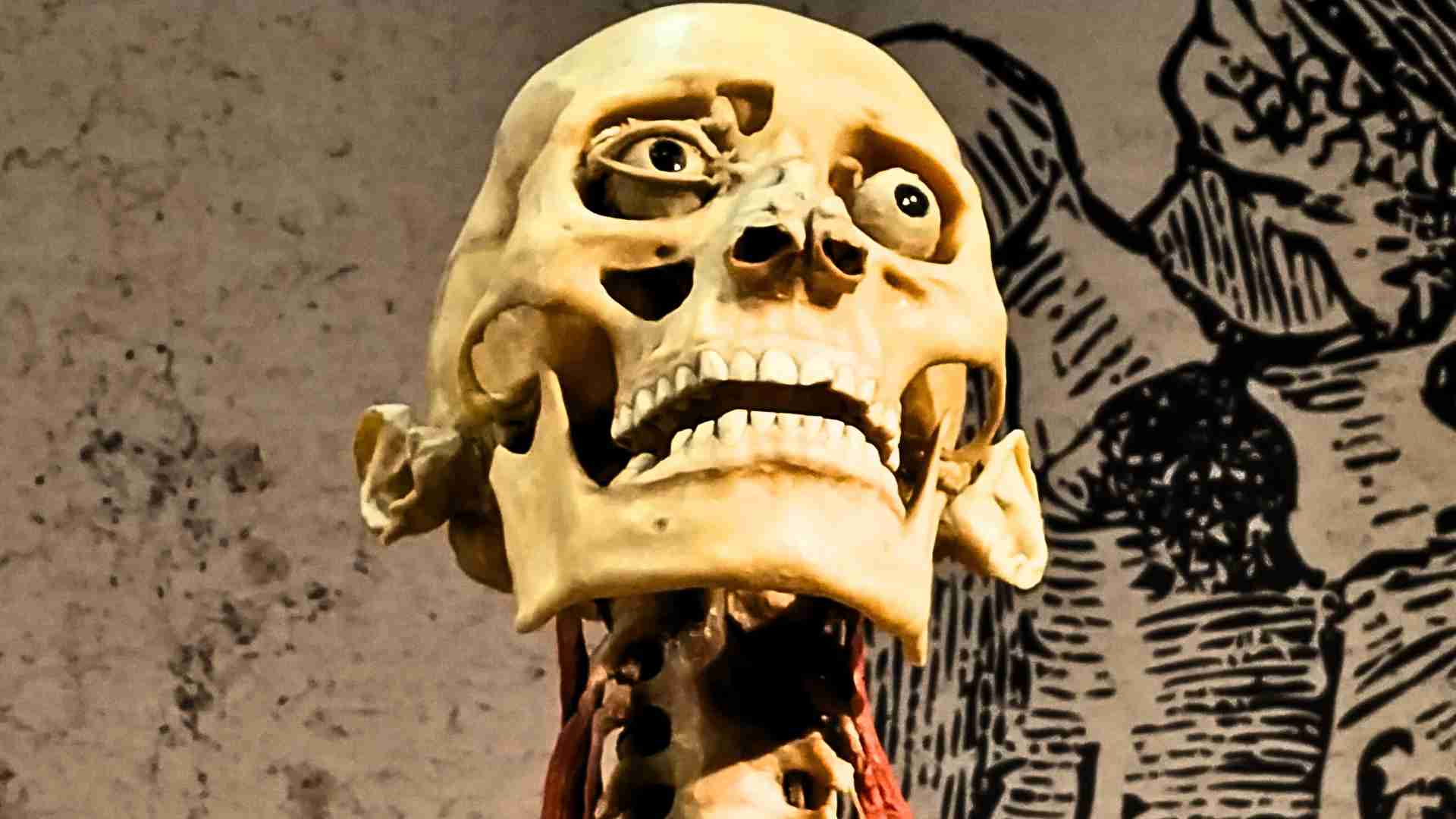 Real Bodies 2.jpg