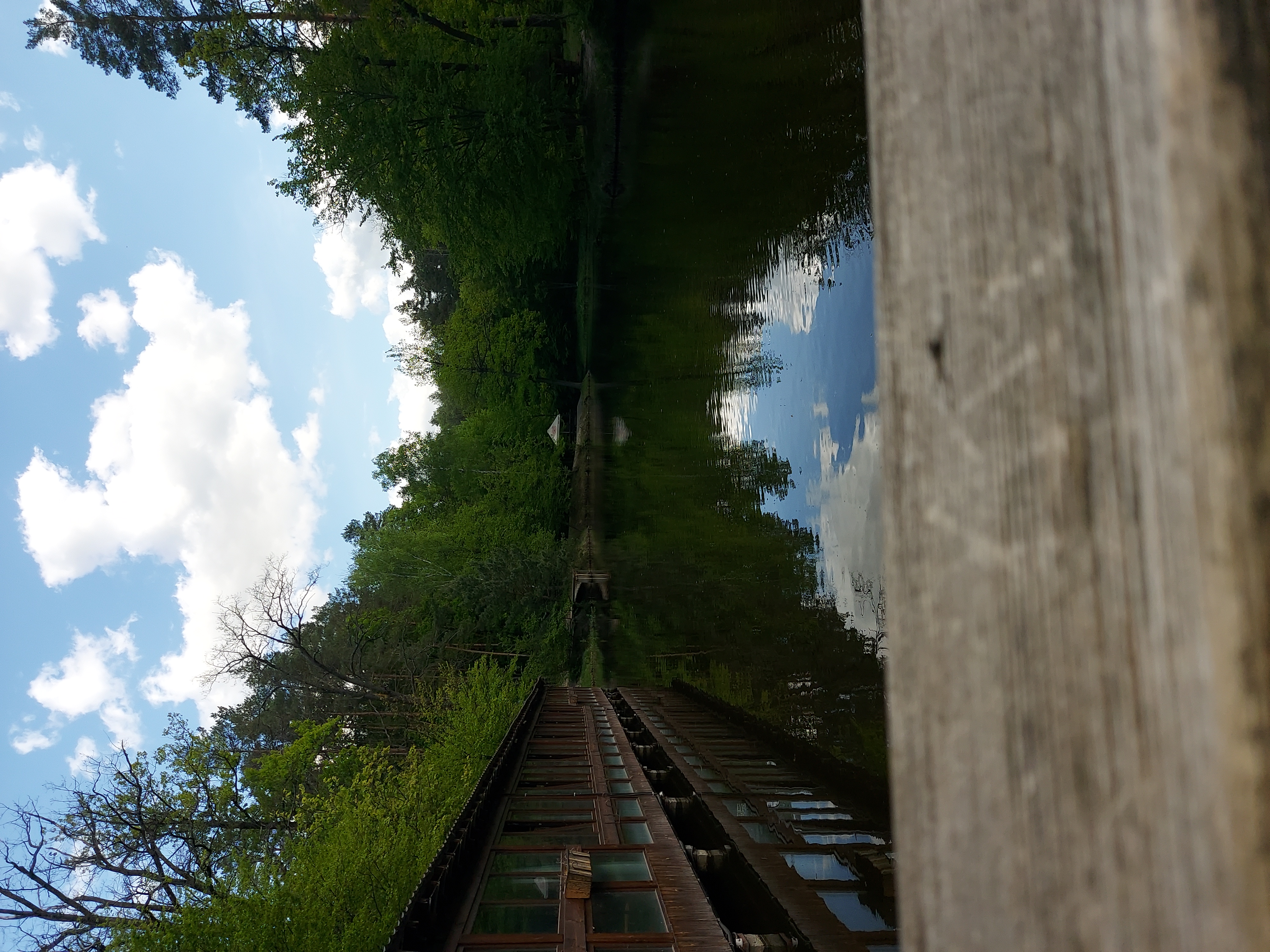 IMG_9233.jpeg