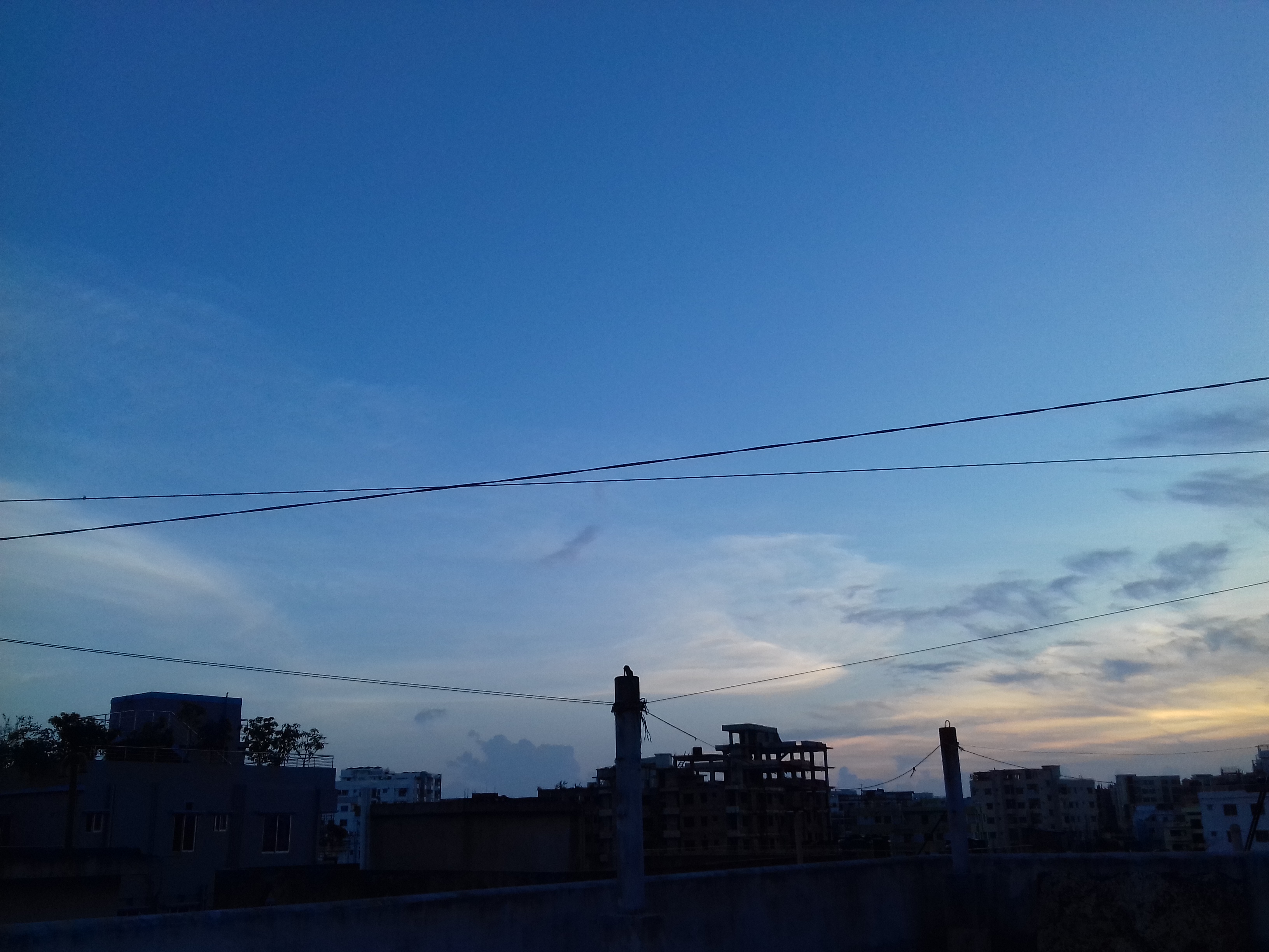 20200605_182733.jpg