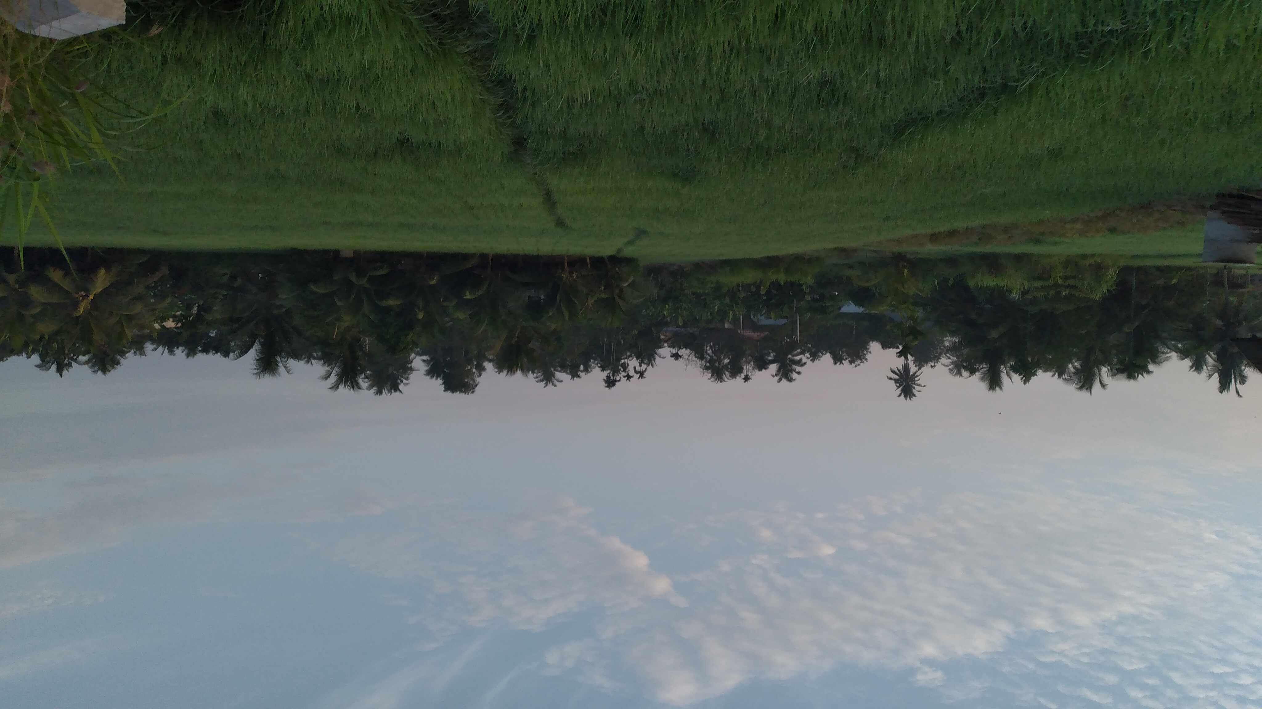 20240317_065953.jpg