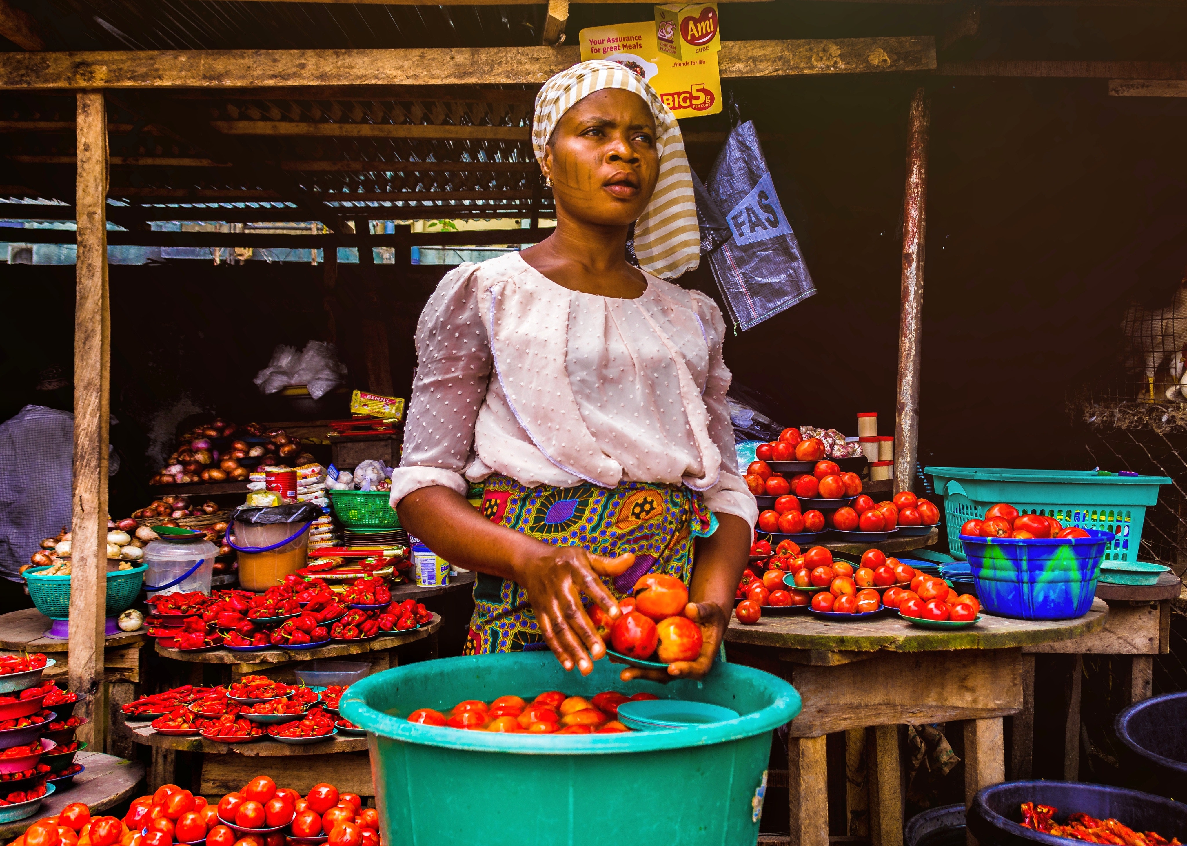 woman-holding-tomatoes-3213283.jpg