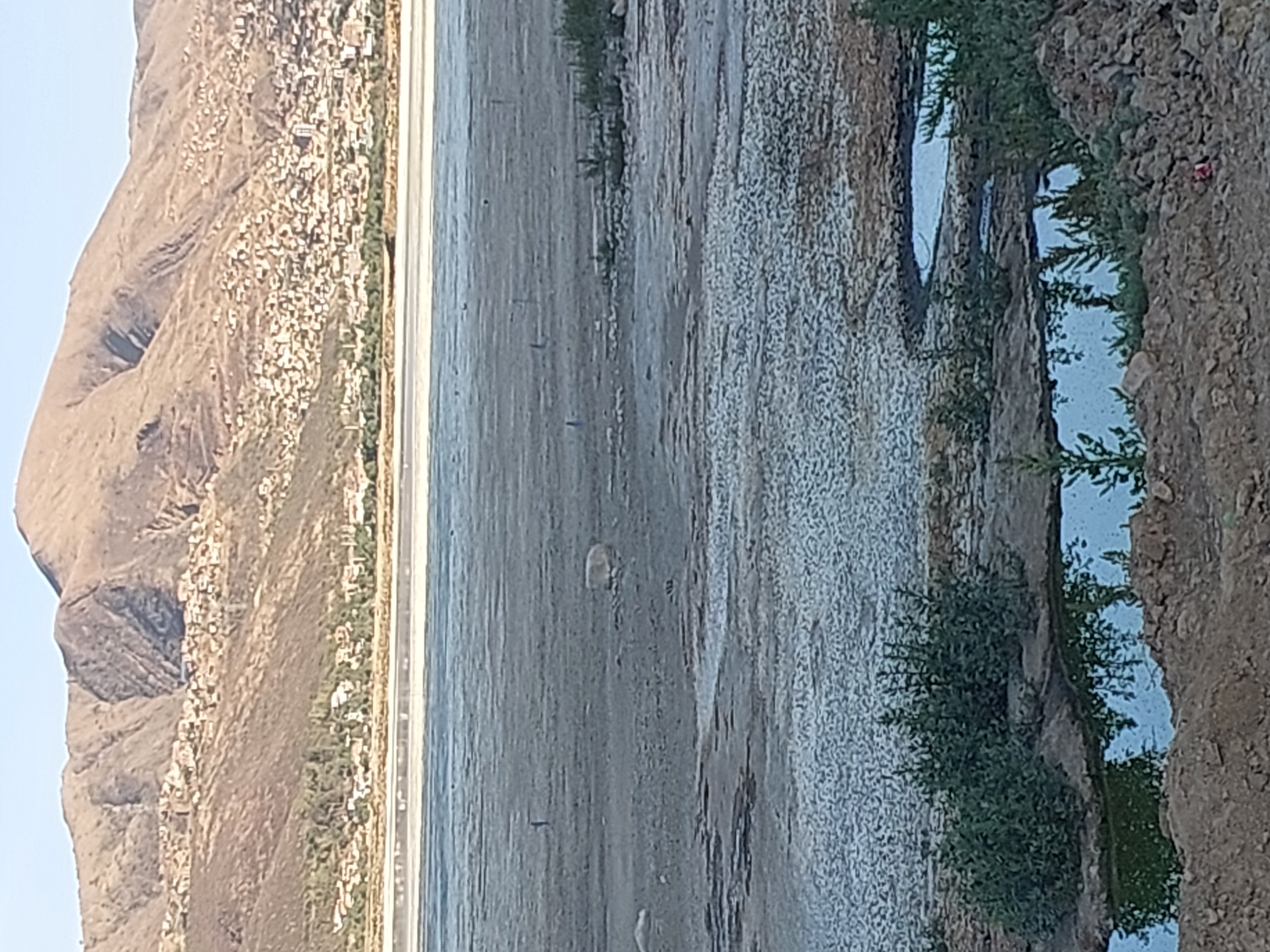 20231029_174225.jpg