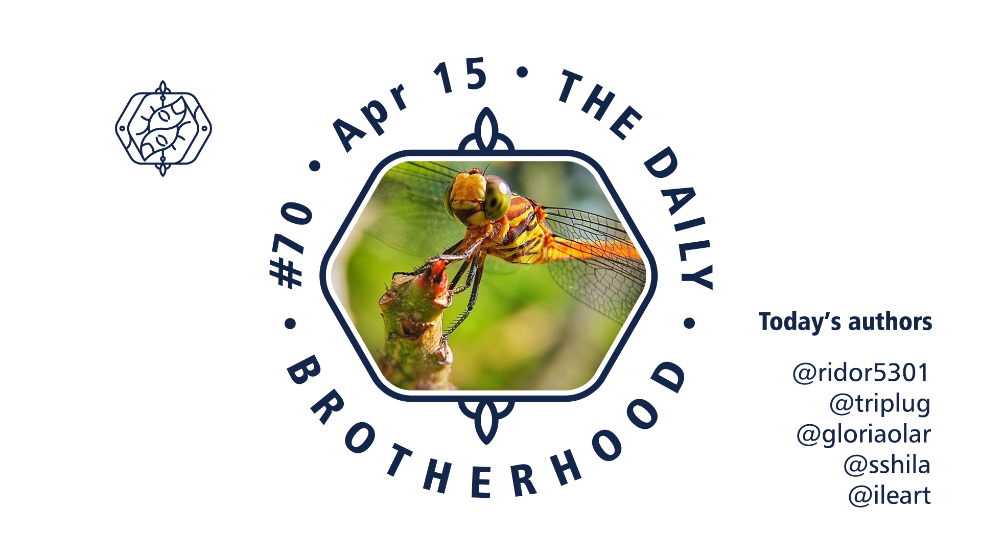 logo_brotherhood_08_70.jpg