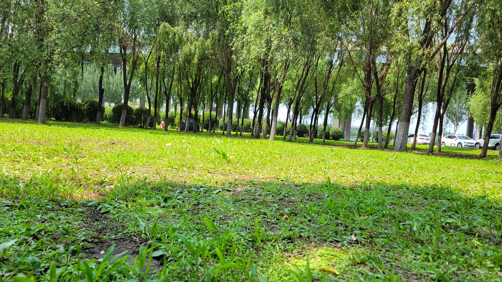 20230718_124137.jpg