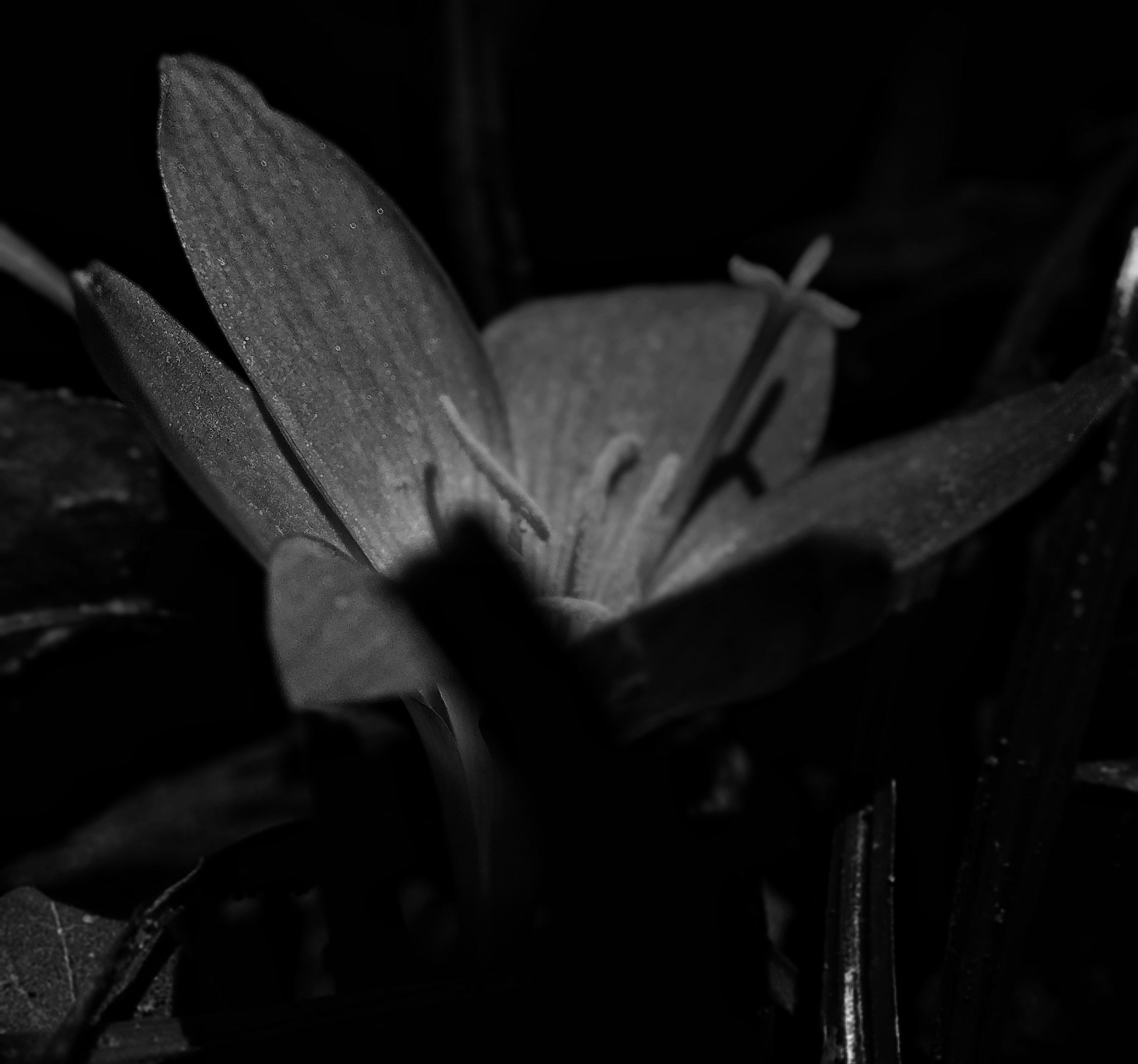 IMG_20211002_104538-01.jpeg