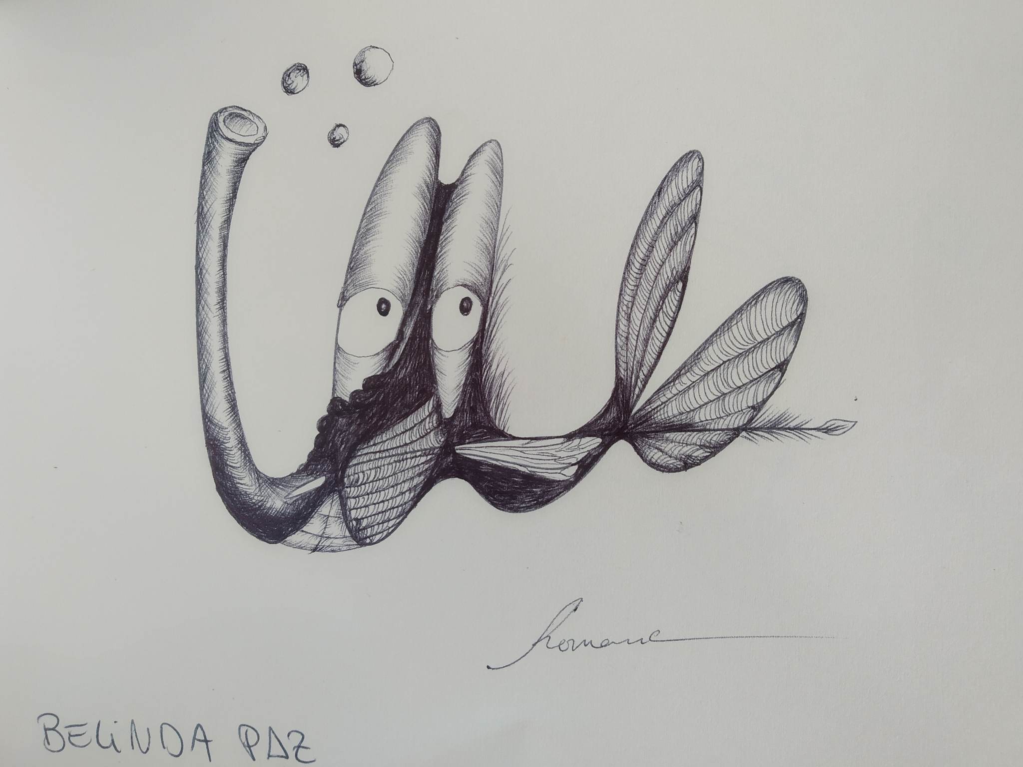 dibujo488B.jpg
