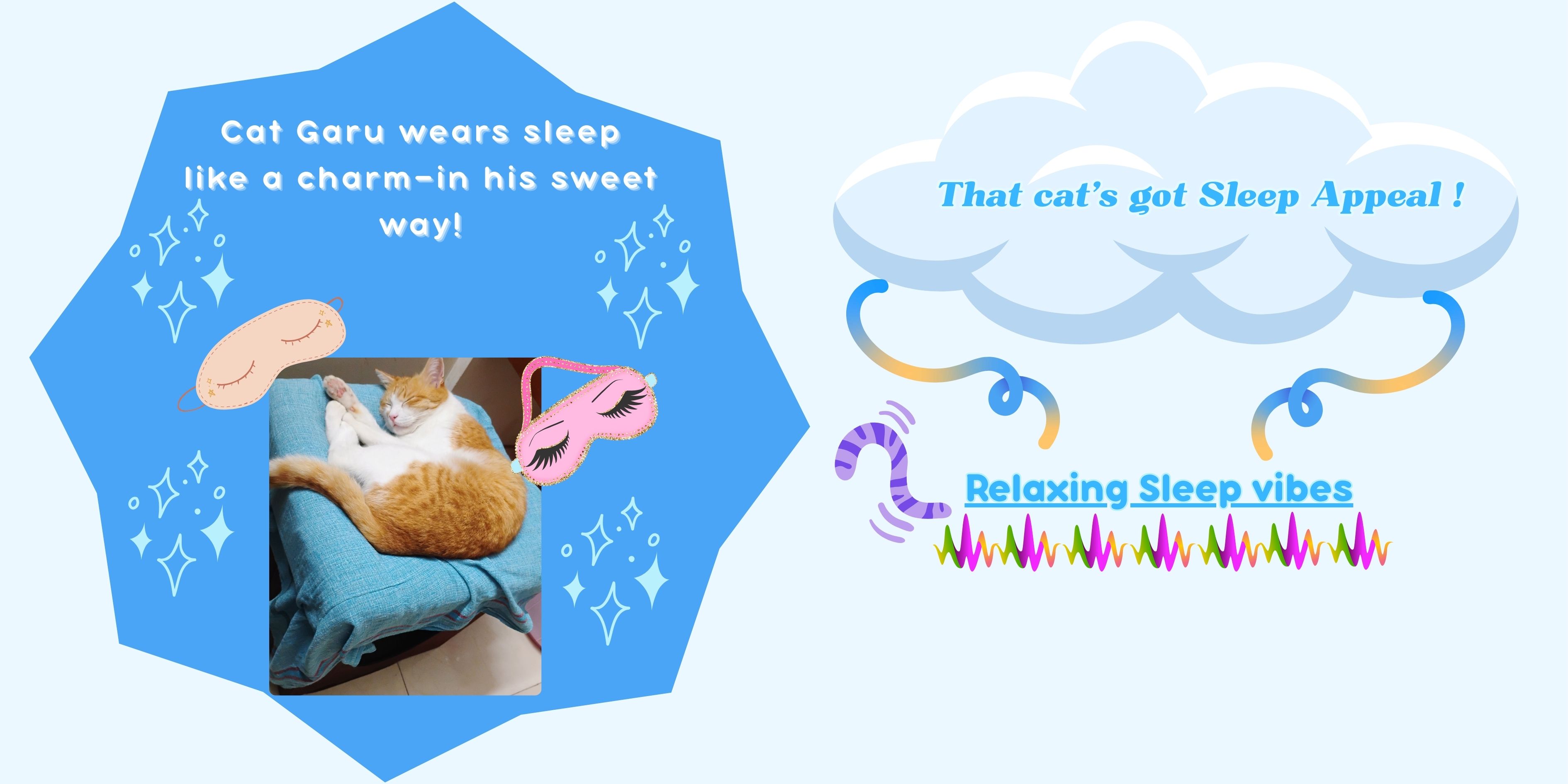 sleep_Appeal.jpg