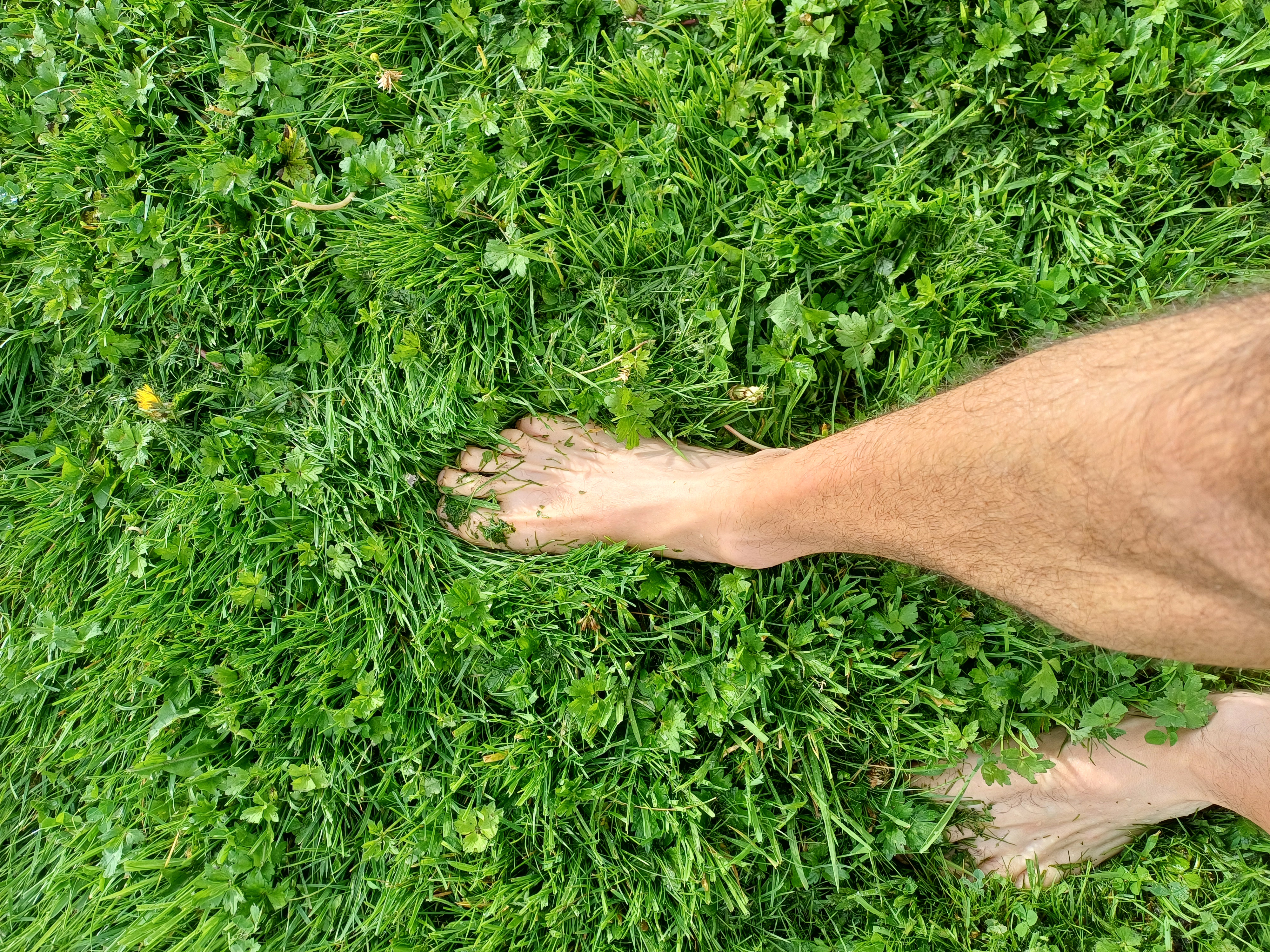20250702_082235.jpg