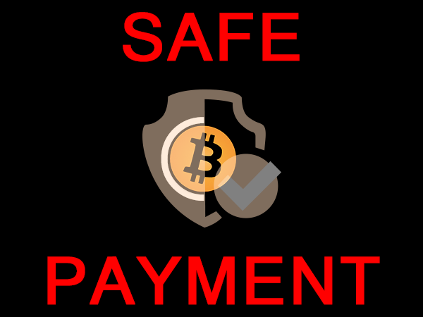 safe_payment.png