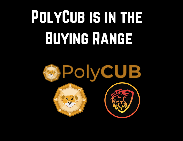 @alokkumar121/polycub-is-in-the-buying-range