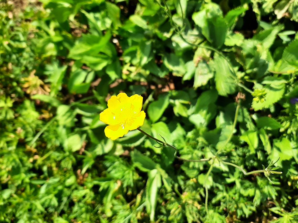 20250608_112216.jpg
