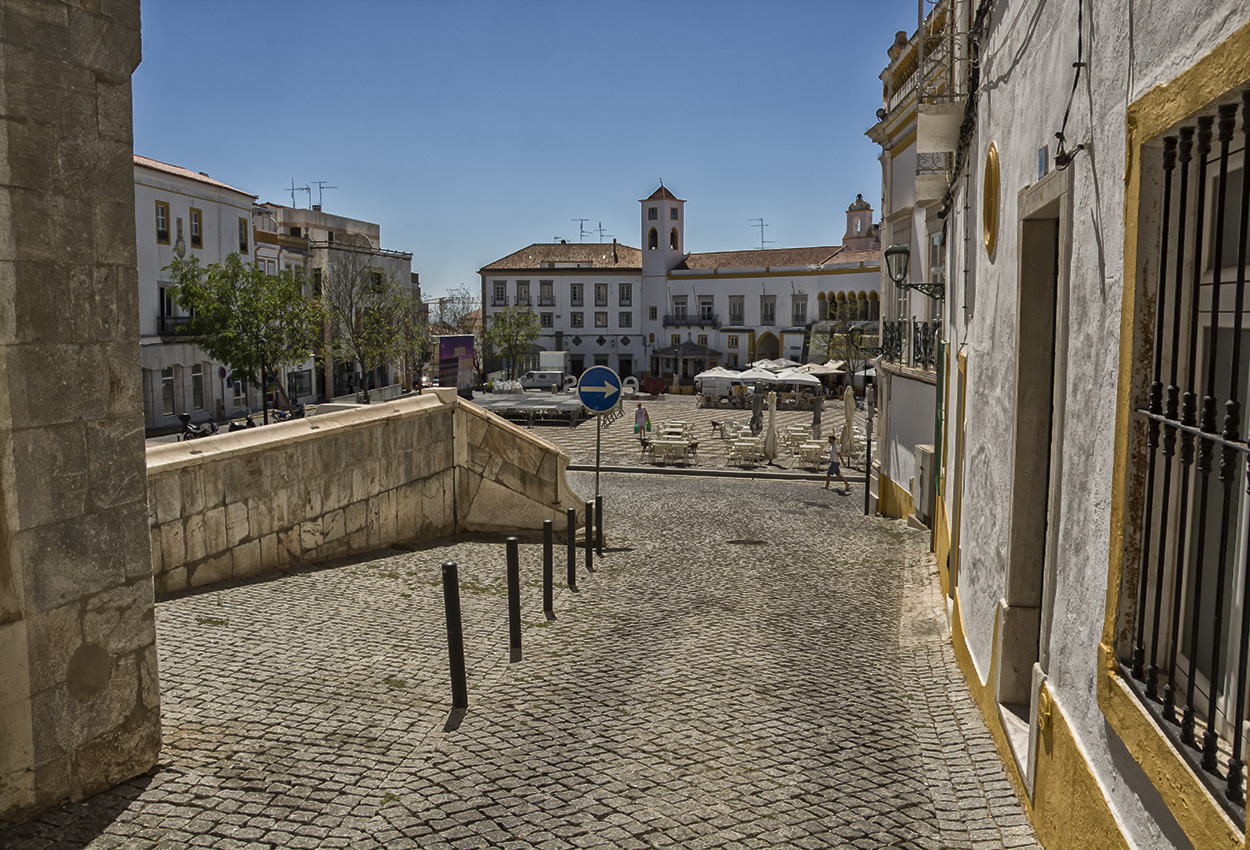 DSC_4319.jpg
