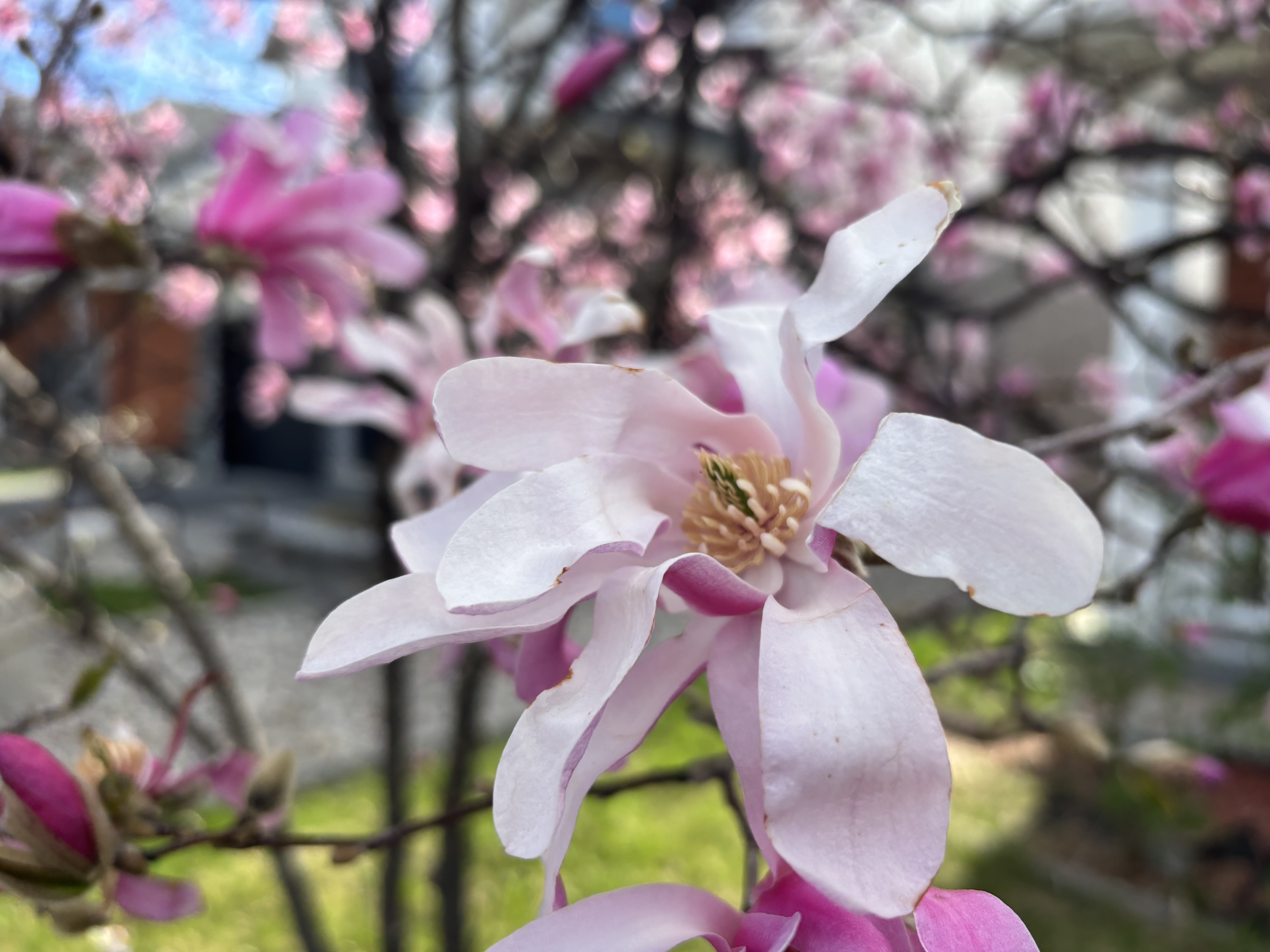 IMG_2473.jpeg