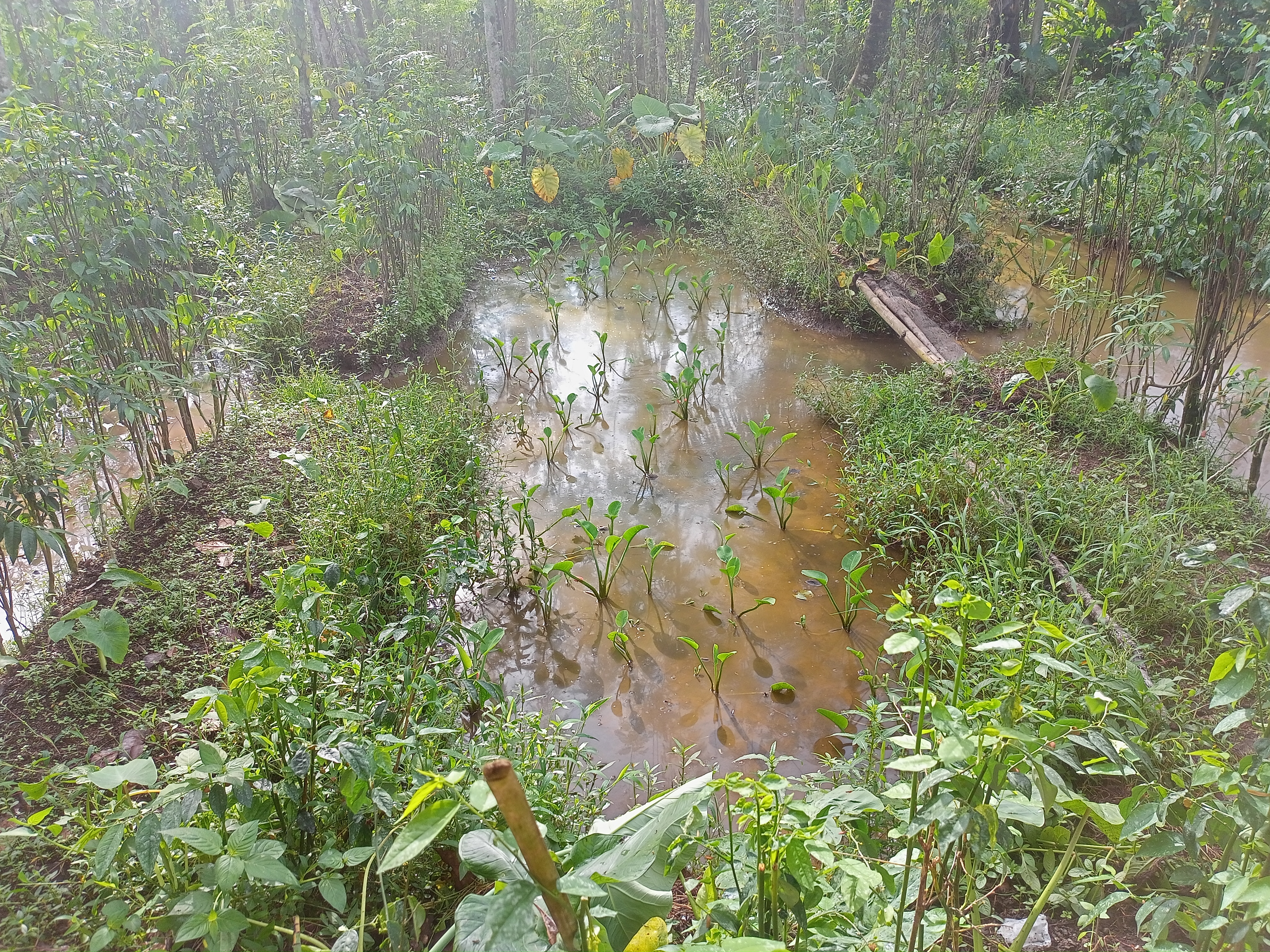 IMG20250524080343.jpg