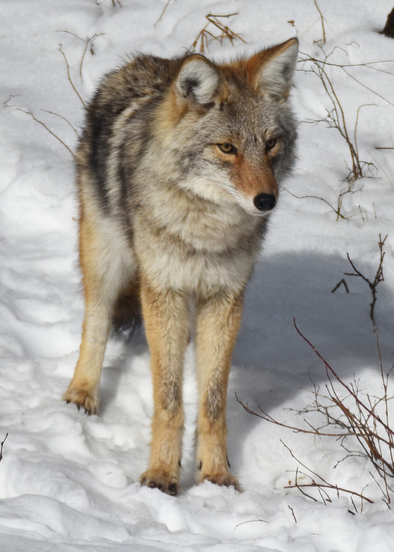 DSC_8171.JPG