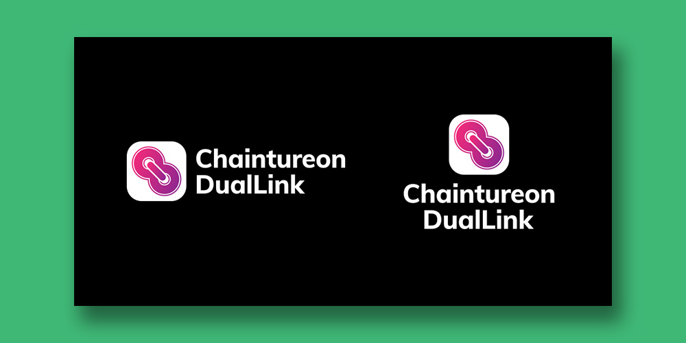 LOGO DESIGN_Chaintureon DualLink_PRESENTATION_6.jpg