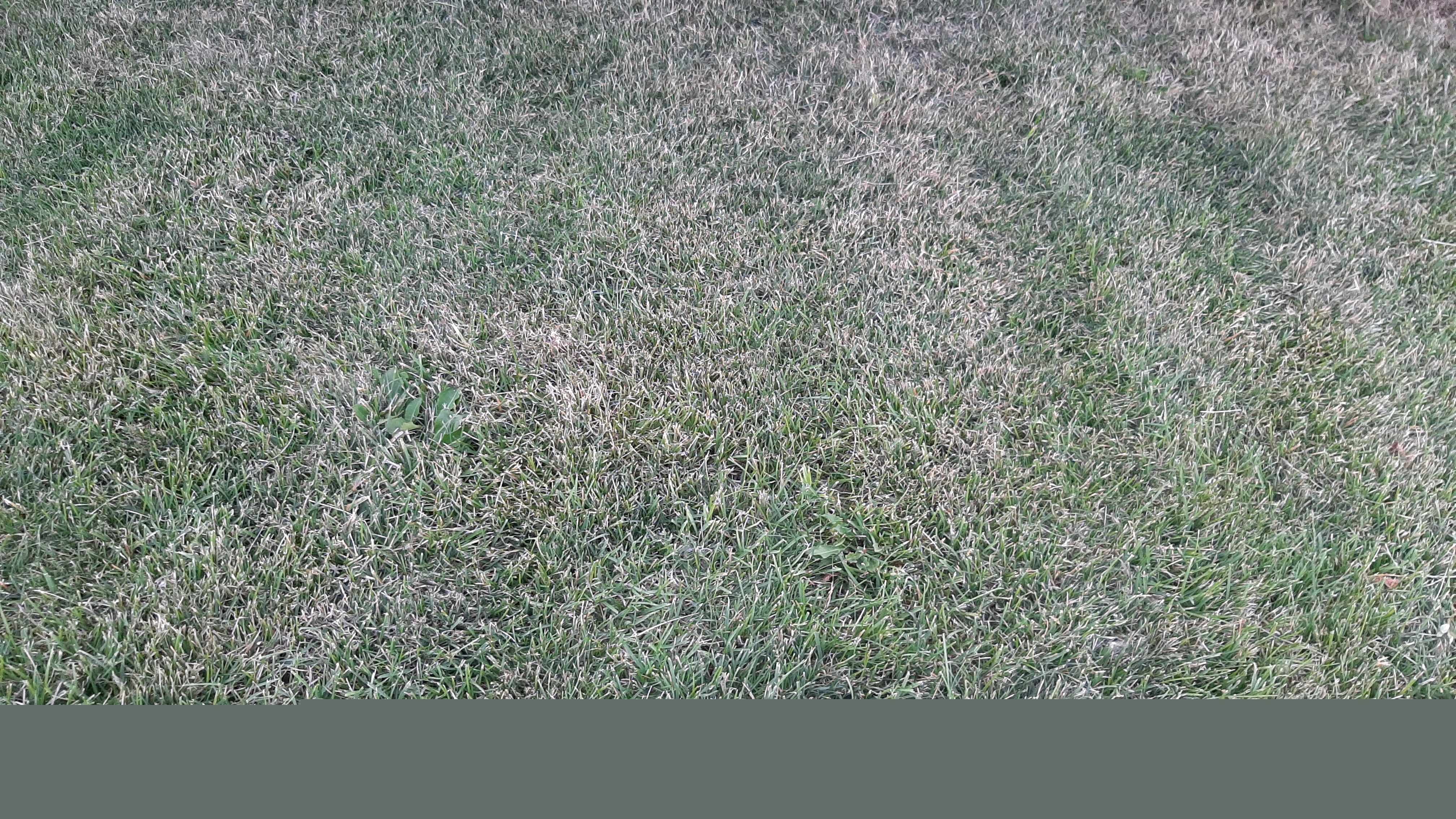 20220722_194245.jpg