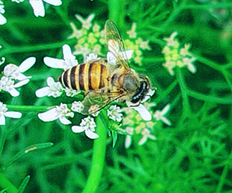 BeautyPlus_20250520131048826_save.jpg