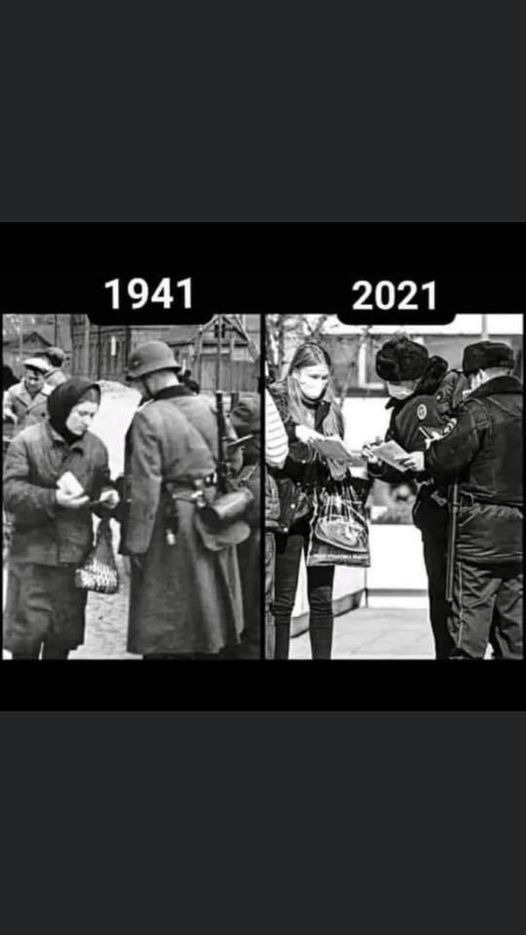 80yearson.jpg