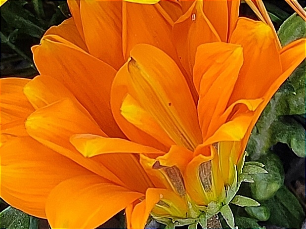 IMG_20250804_182545.jpg