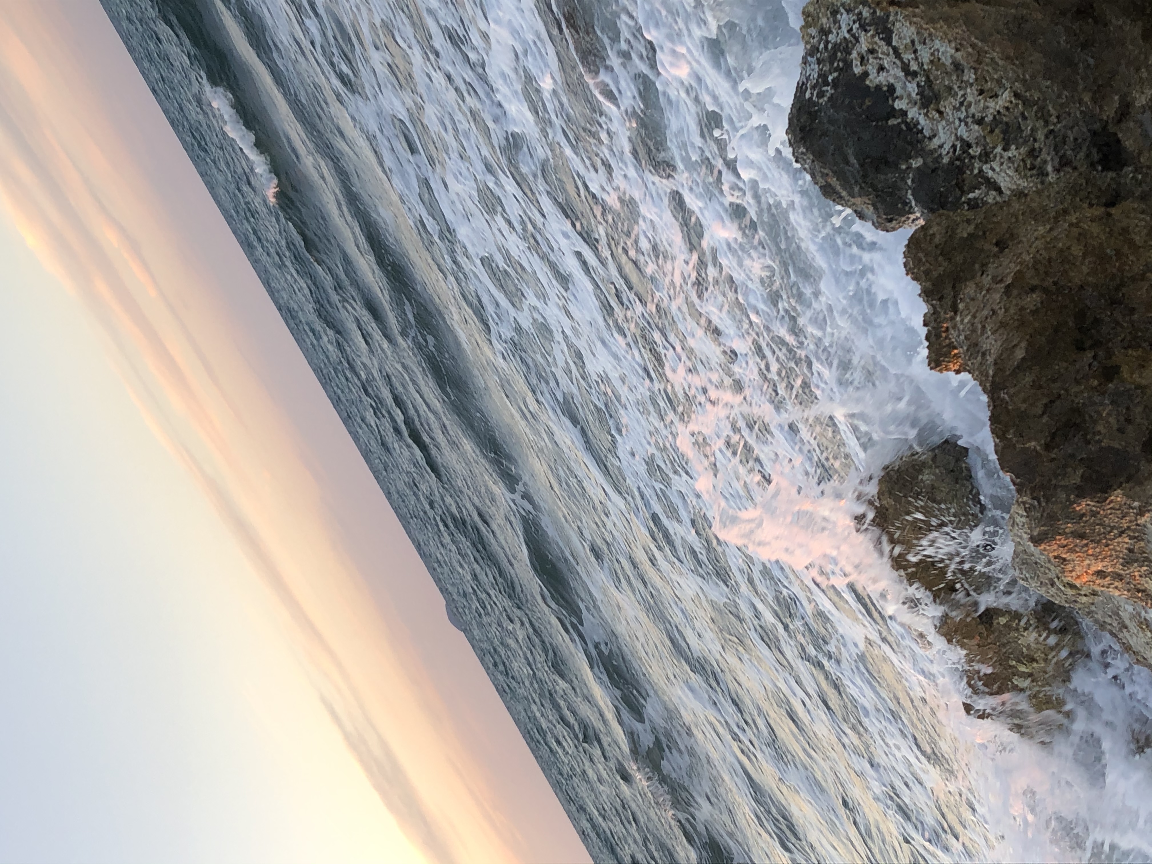 C0907A70-4A94-47E3-BFB7-95A0A304A0E2.jpeg