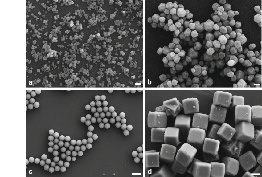 SEM-images-of-calcium-fluoride-particles-prepared-by-precipitation-from-NaF-and-CaCl-2.png