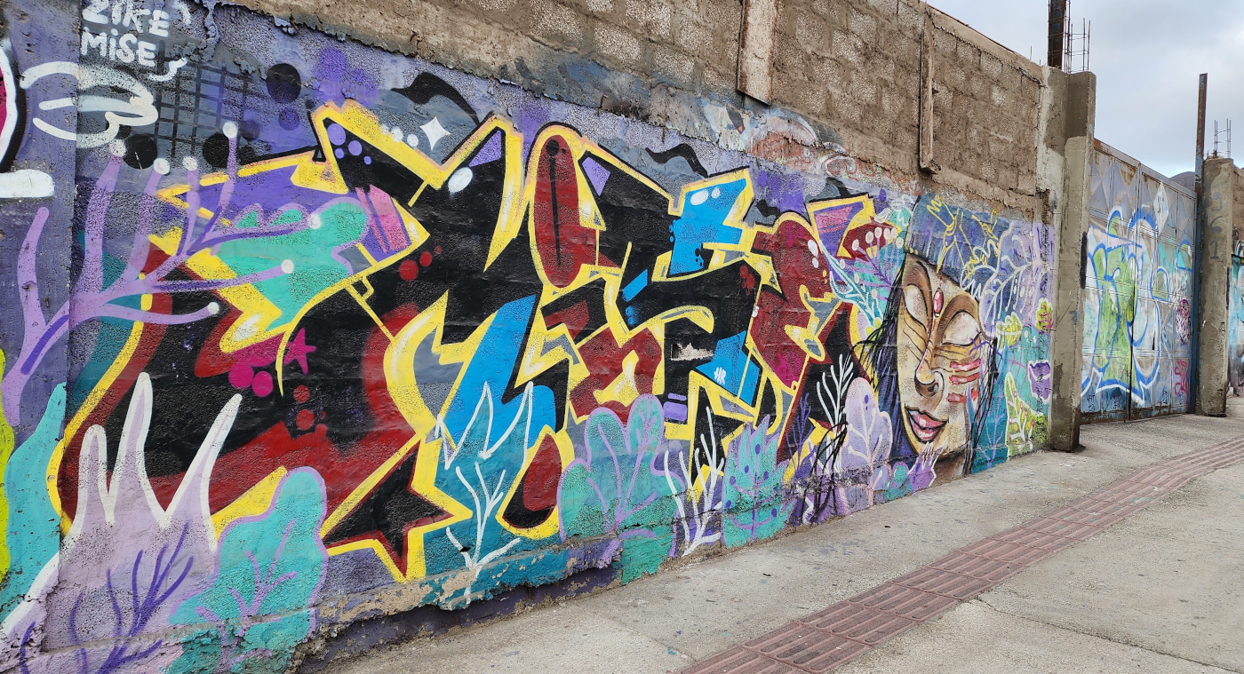 antofagasta-streetart-267.jpg