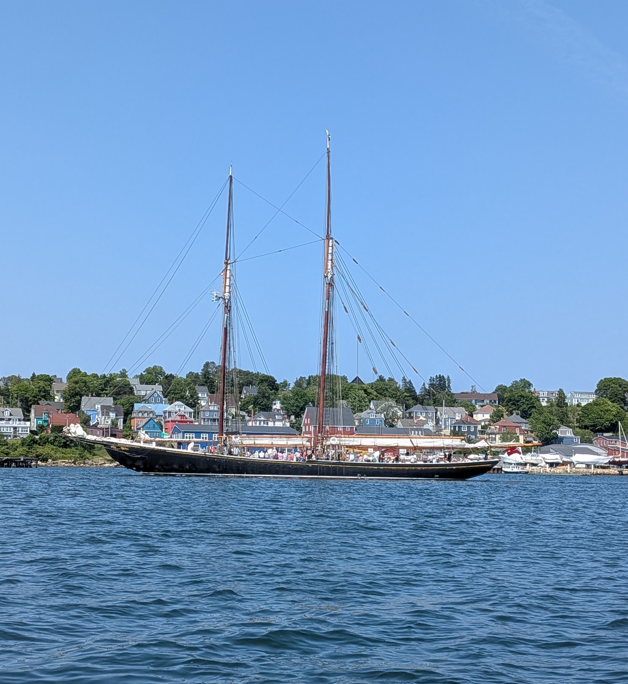 bluenose-passing-my-mooring.jpg
