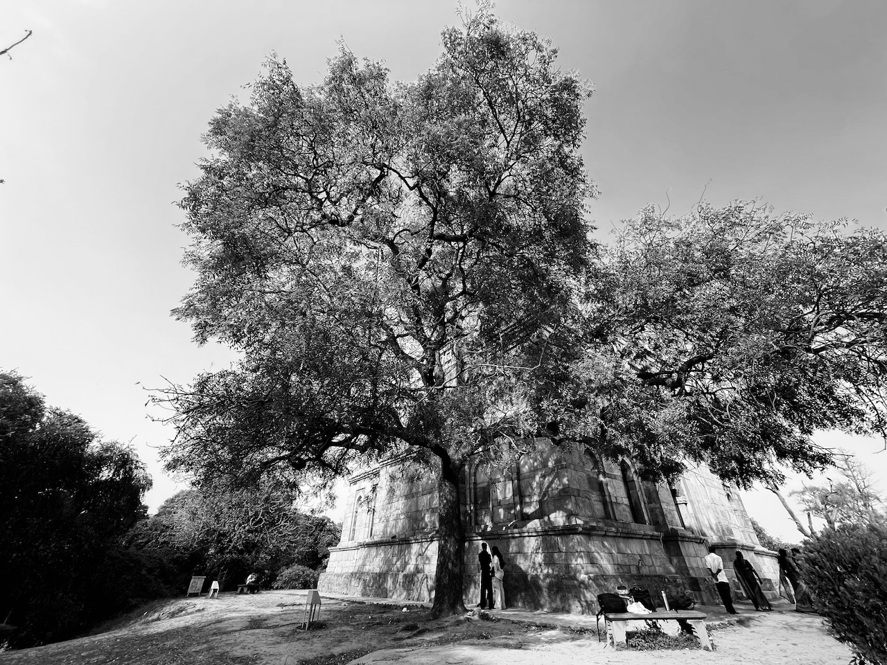 IMG_7930.jpeg