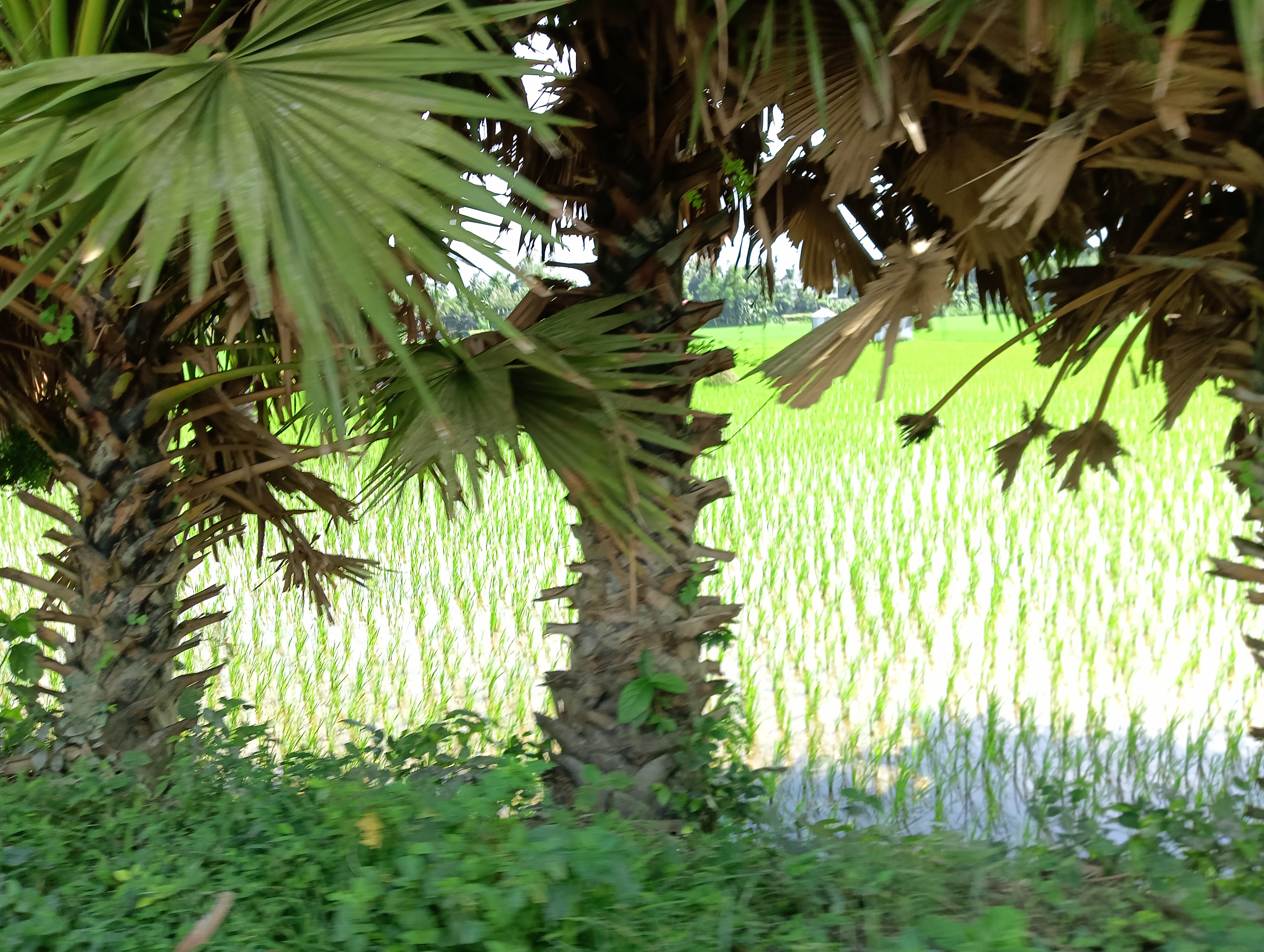 IMG20250822135353.jpg