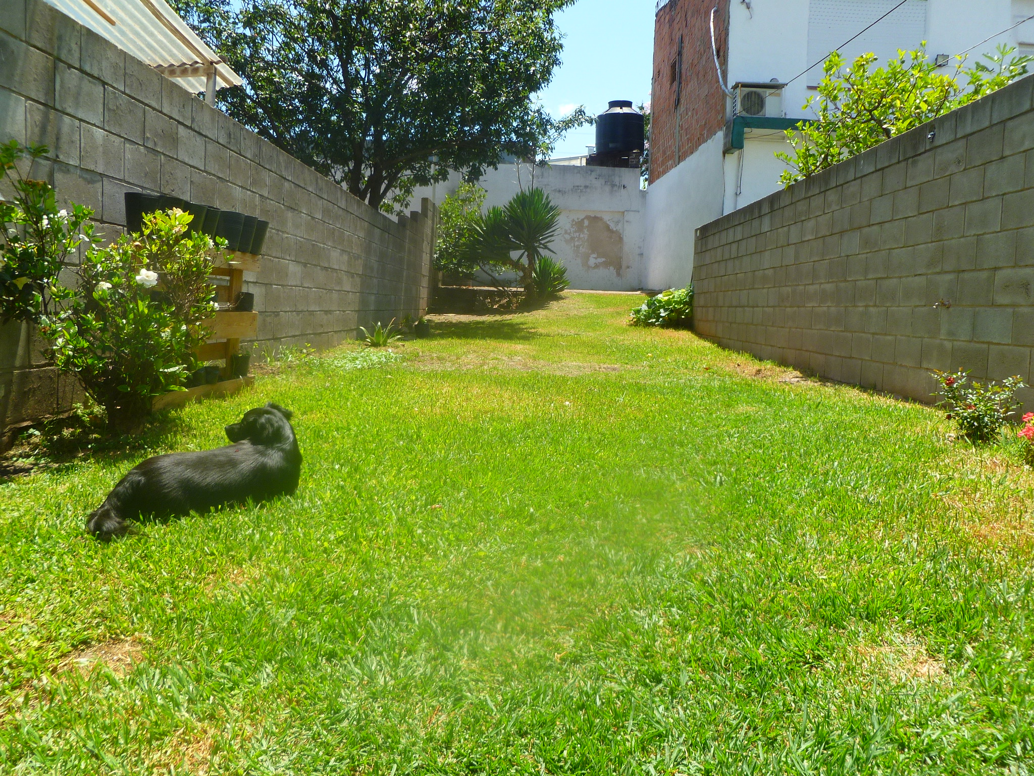P1080363.JPG