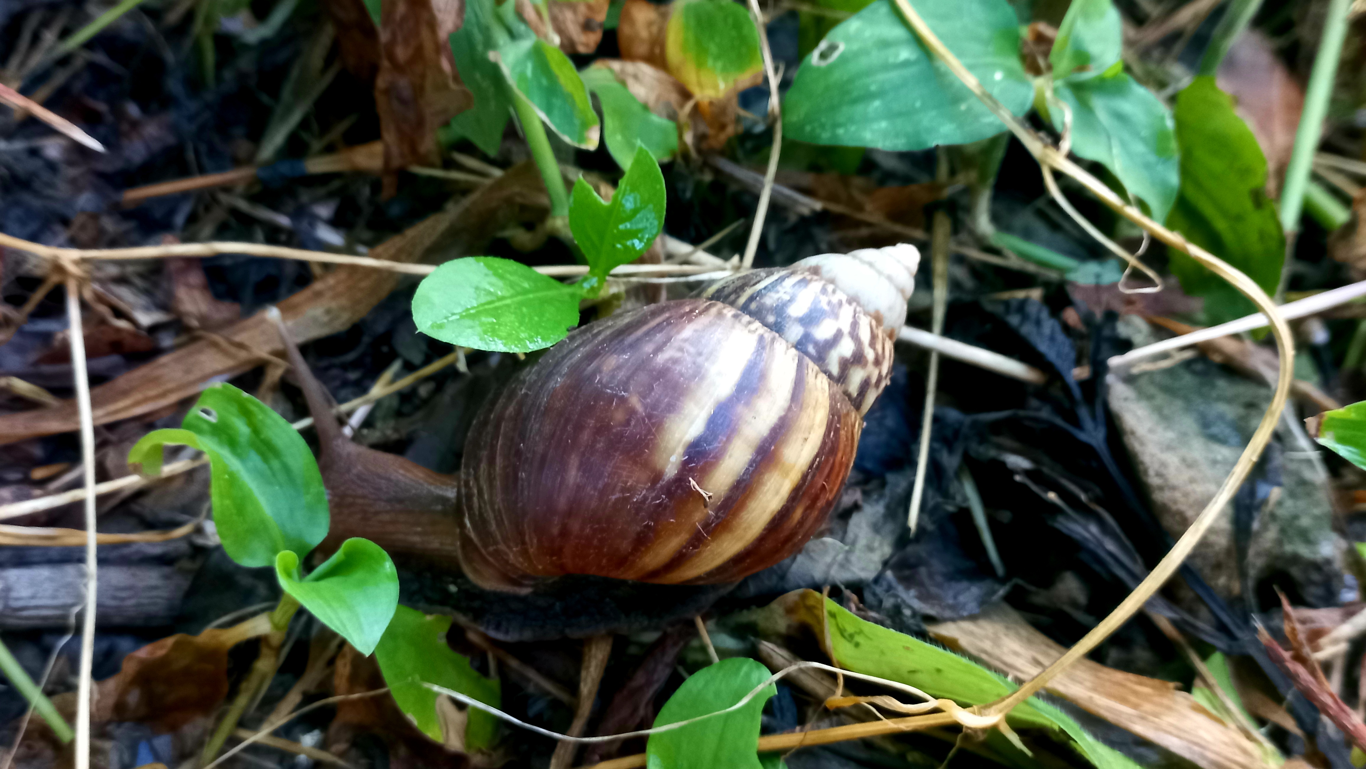 20250729_175024.jpg