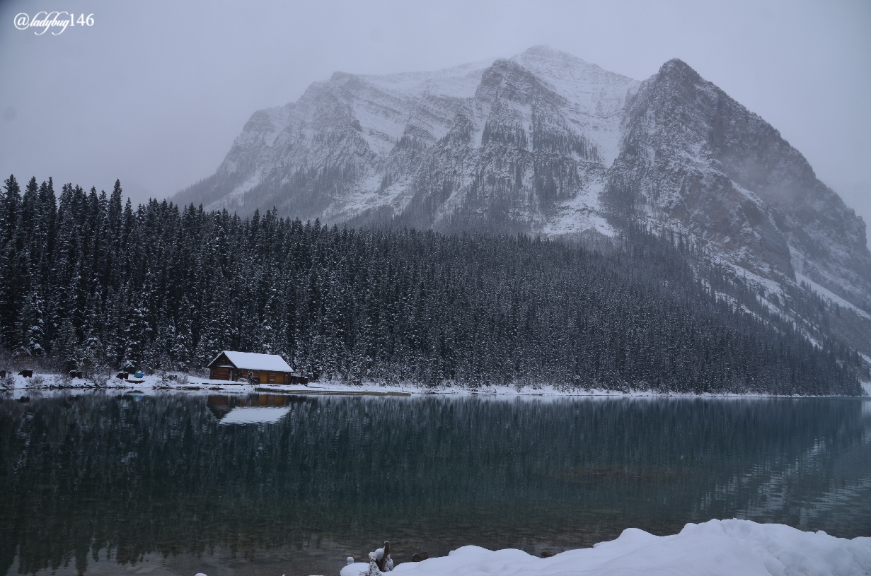 lake louise (11).jpg