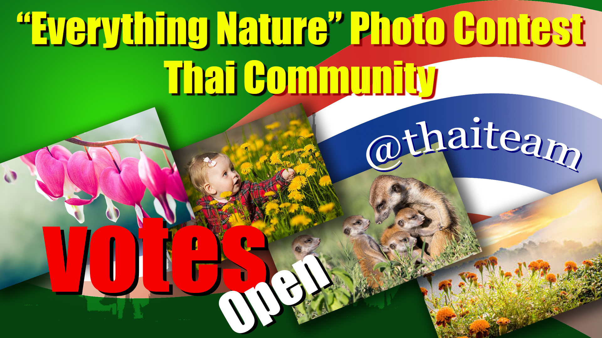 everything nature Photography3 votes.png