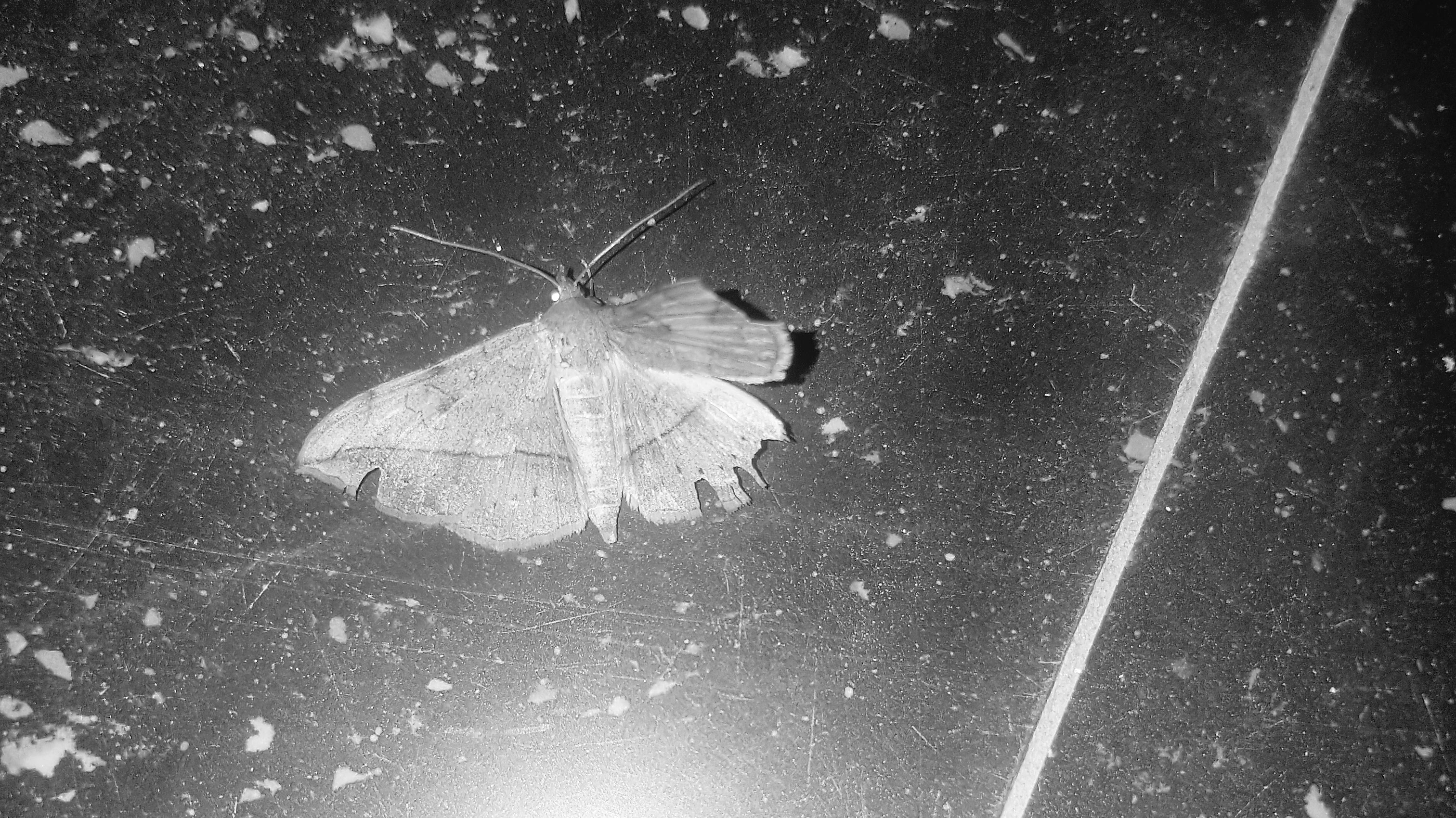 20211124_141703.jpg