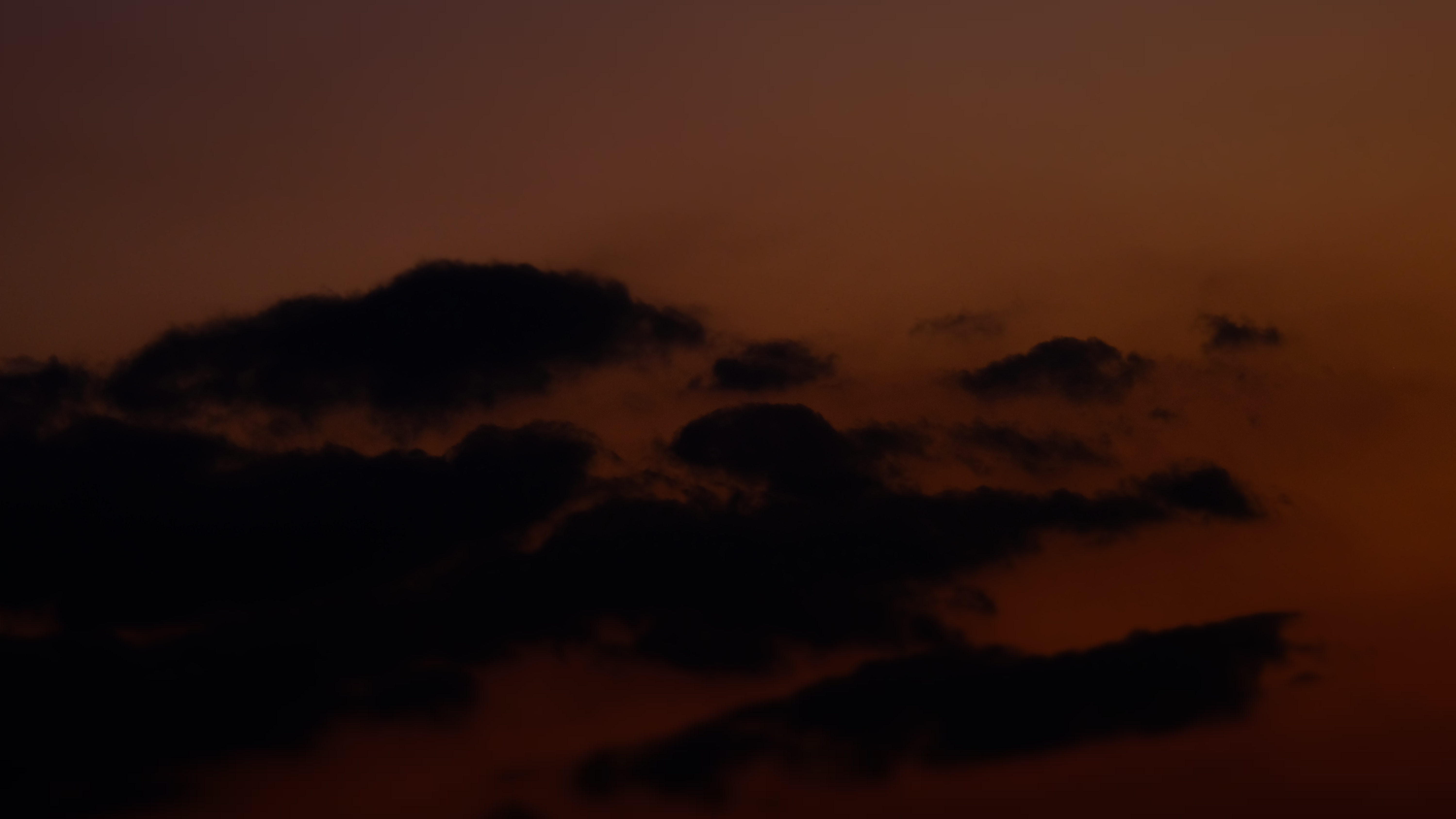 DSCF2447.JPG