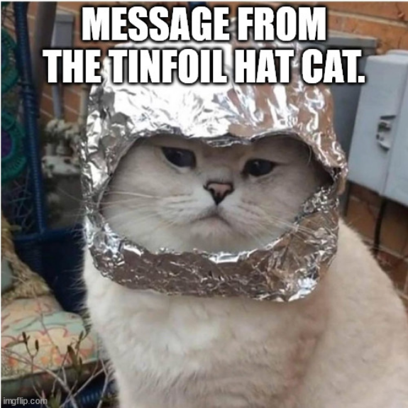 Screenshot 2022-09-01 at 16-45-49 Cat with tinfoil hat Meme Generator - Imgflip.png