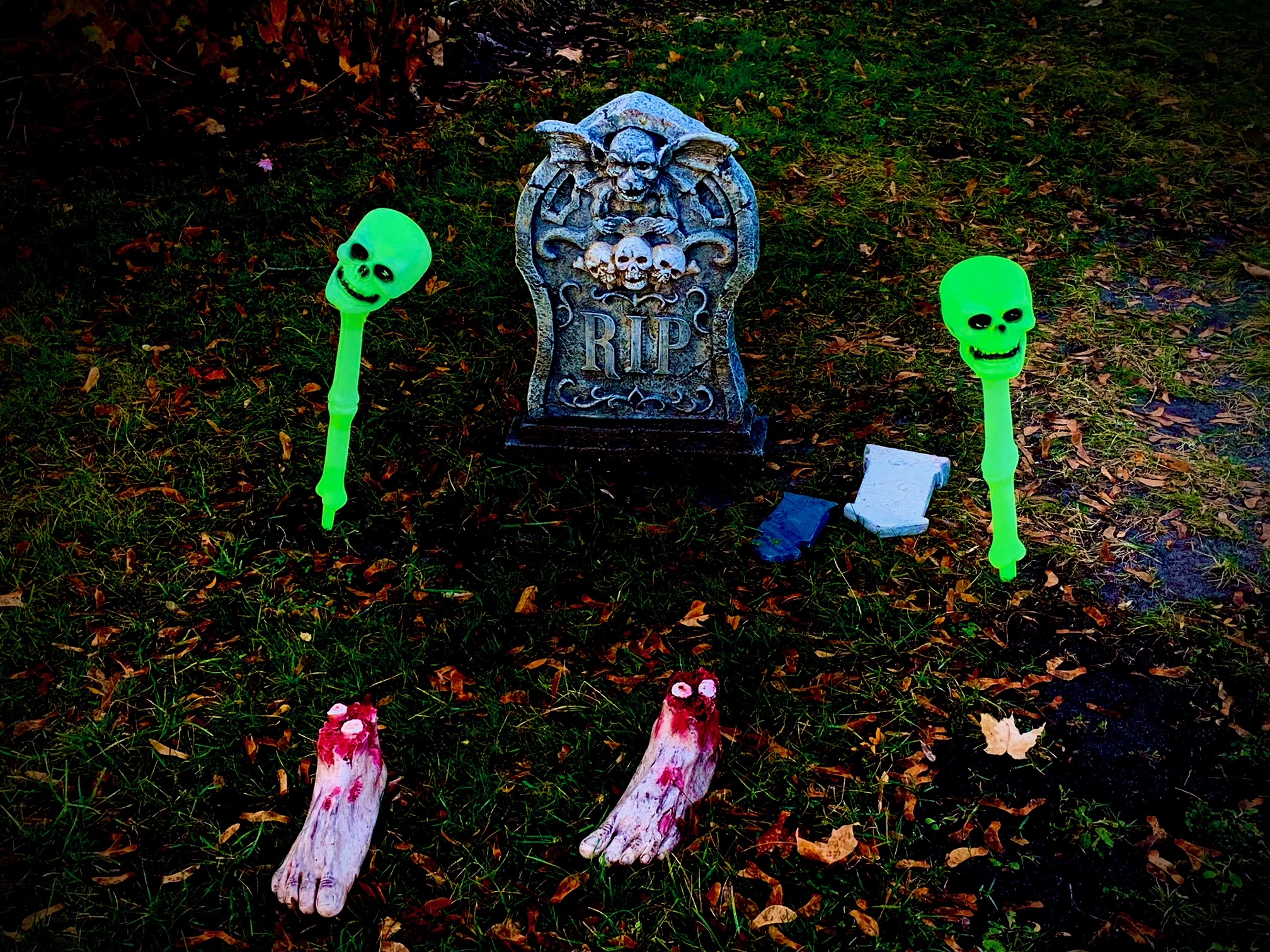 image3.jpeg