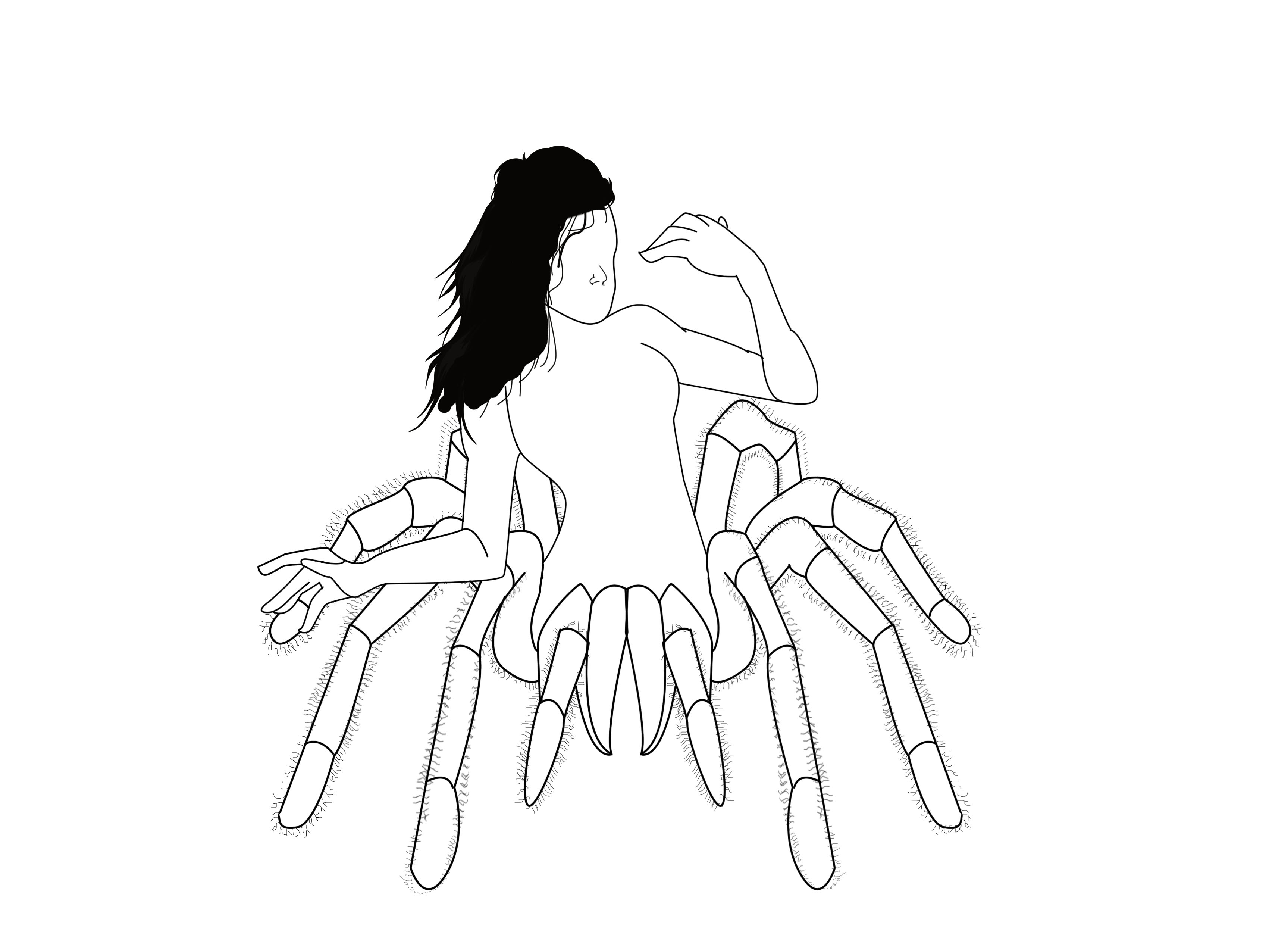 araña 1.jpg