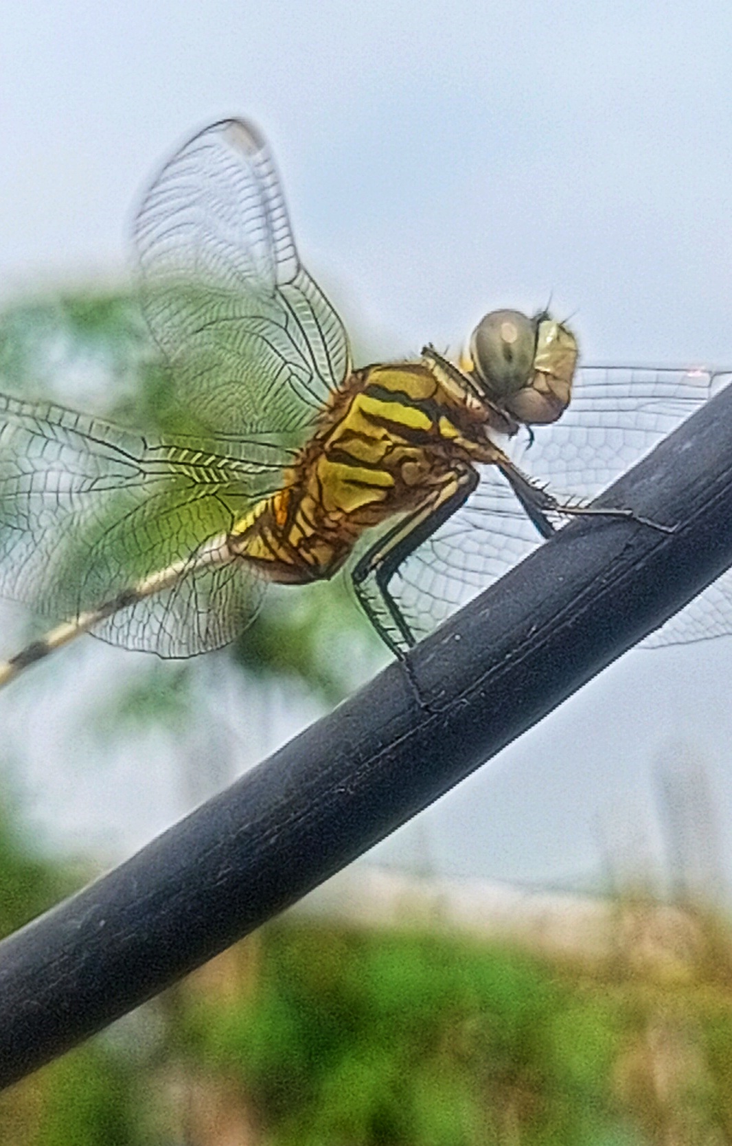 IMG20250719150723.jpg