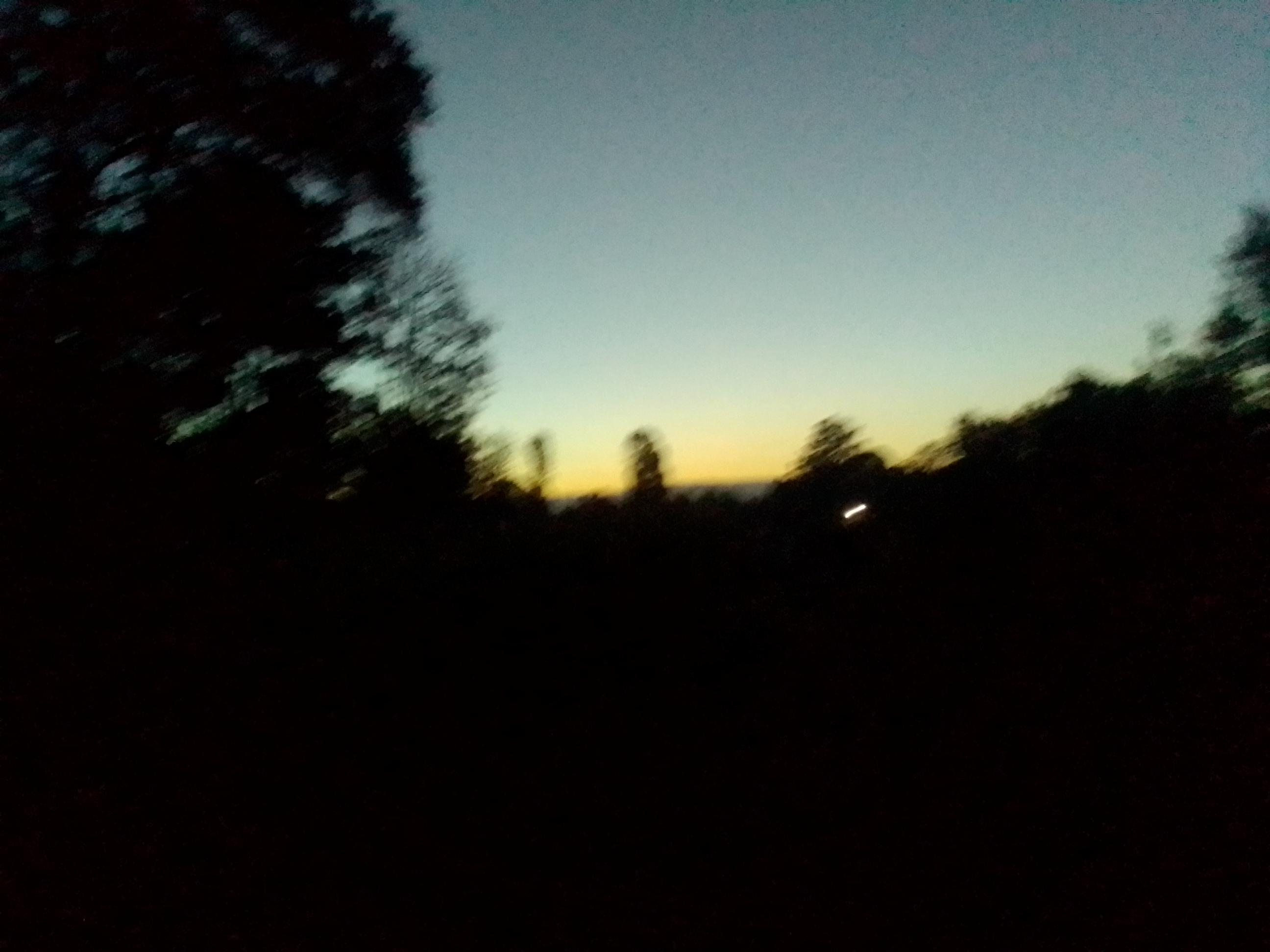 IMG_20220112_190555344.jpg