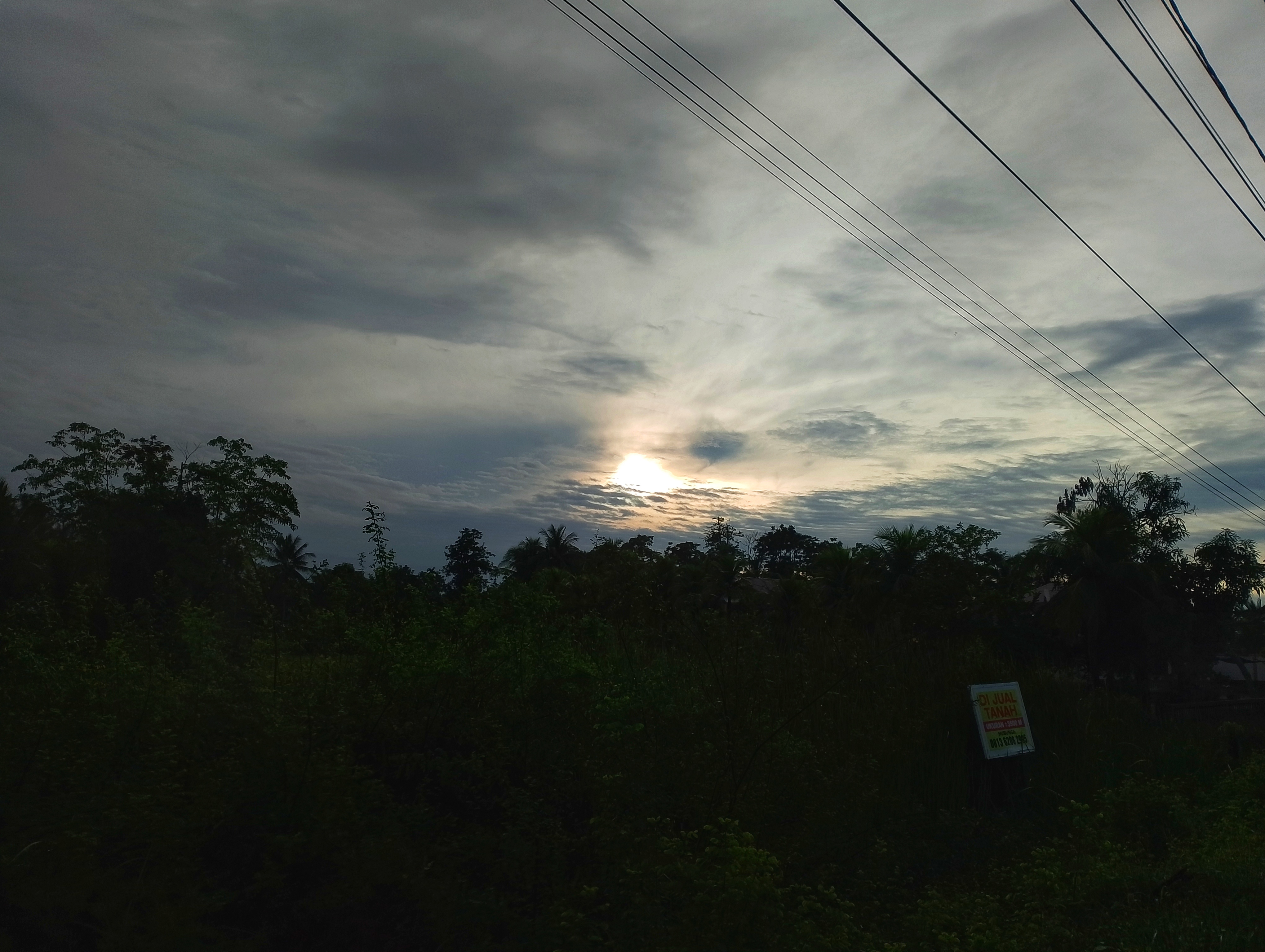 1000025616-01.jpeg