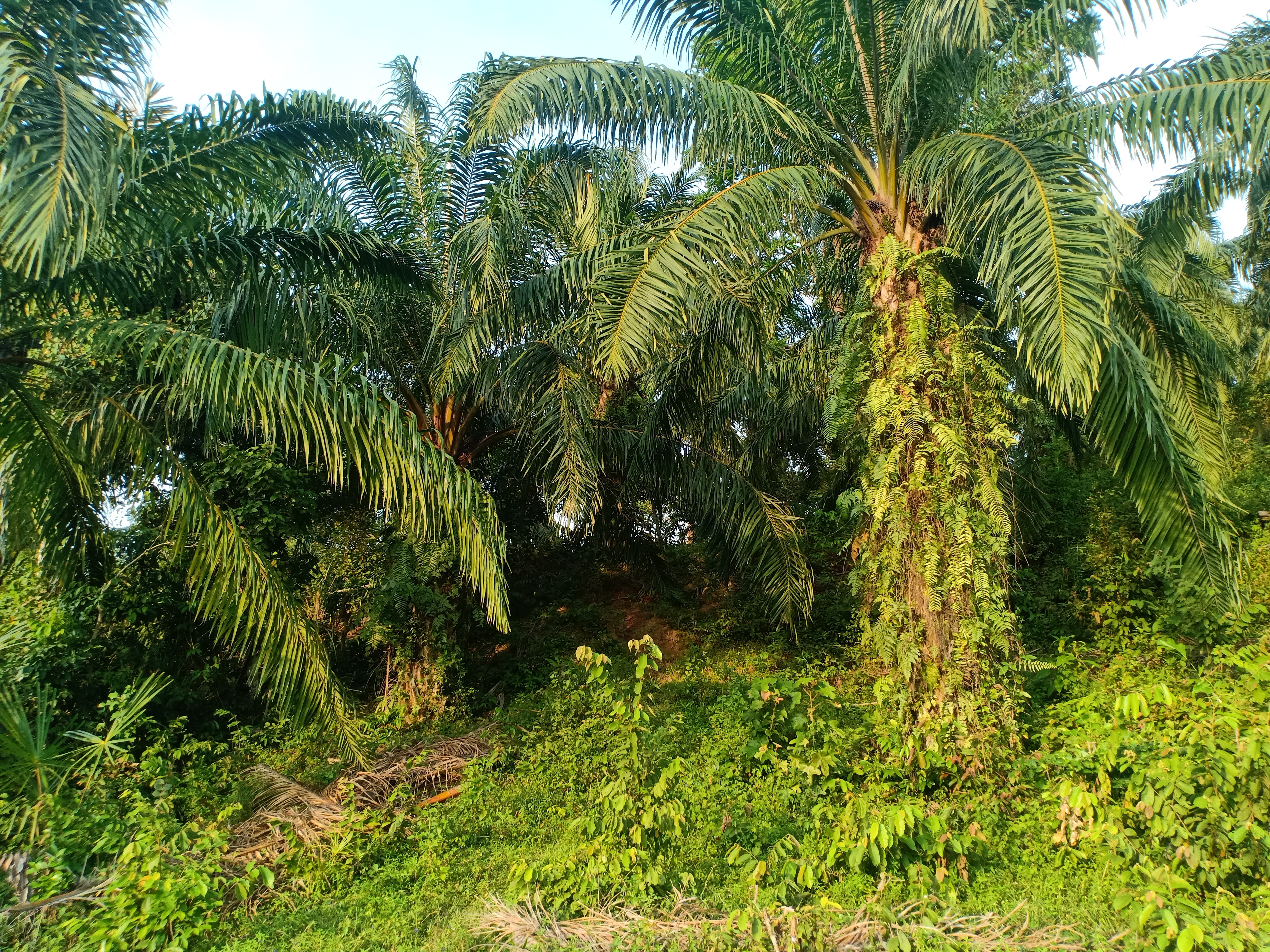IMG20250304175014.jpg
