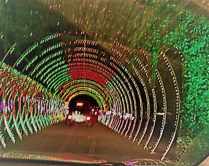  "tunnel1.jpg"