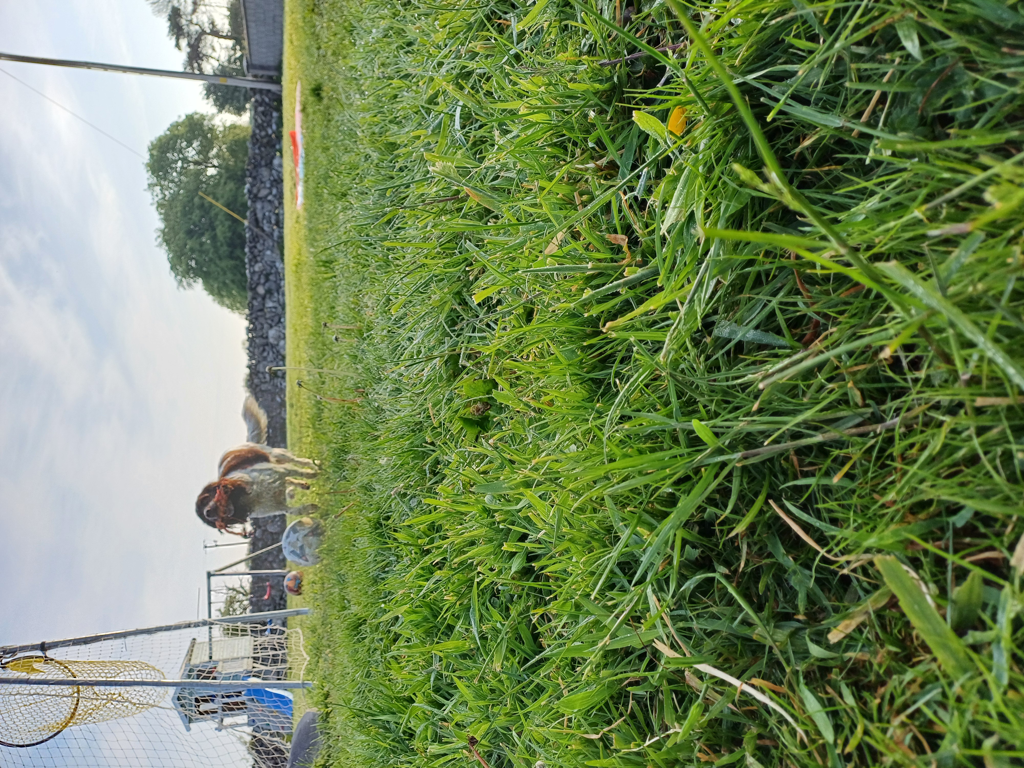 20250511_071920.jpg