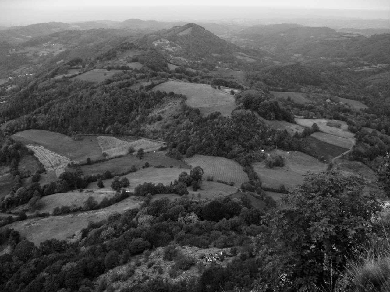 PICT0034_bw.jpg