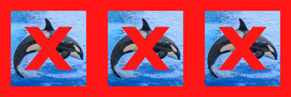 triple orca.png