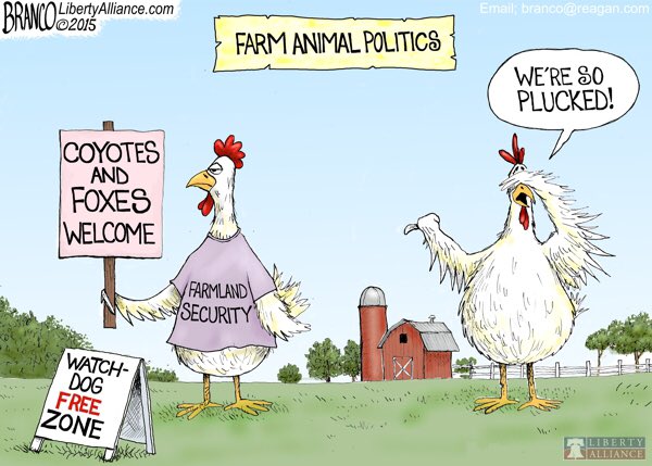 Farm animal politics.jpeg